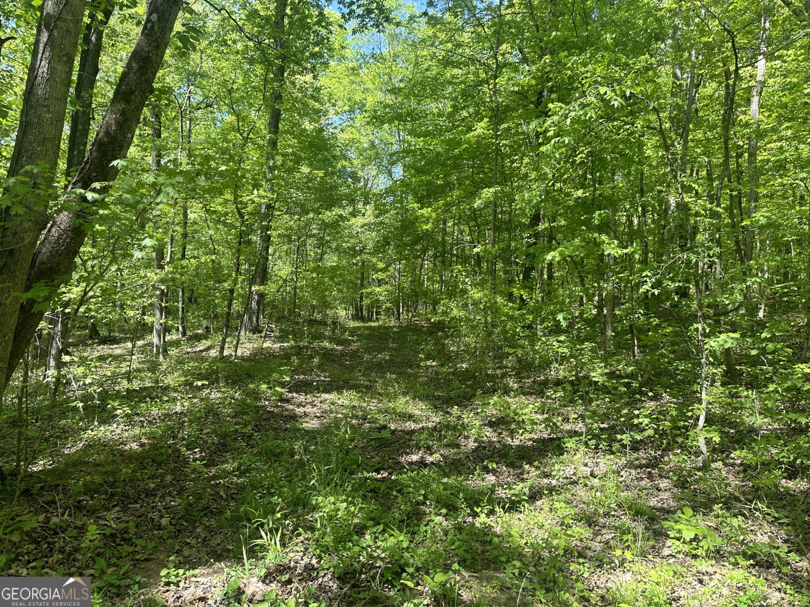 0 Alexander Road, Gay, Georgia 30218, ,Land,For Sale,Alexander,9138925