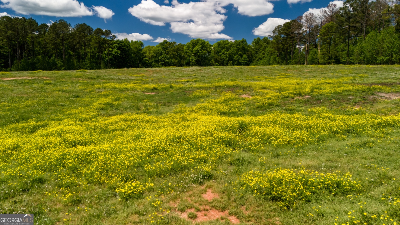 0 Alexander Road, Gay, Georgia 30218, ,Land,For Sale,Alexander,9138925