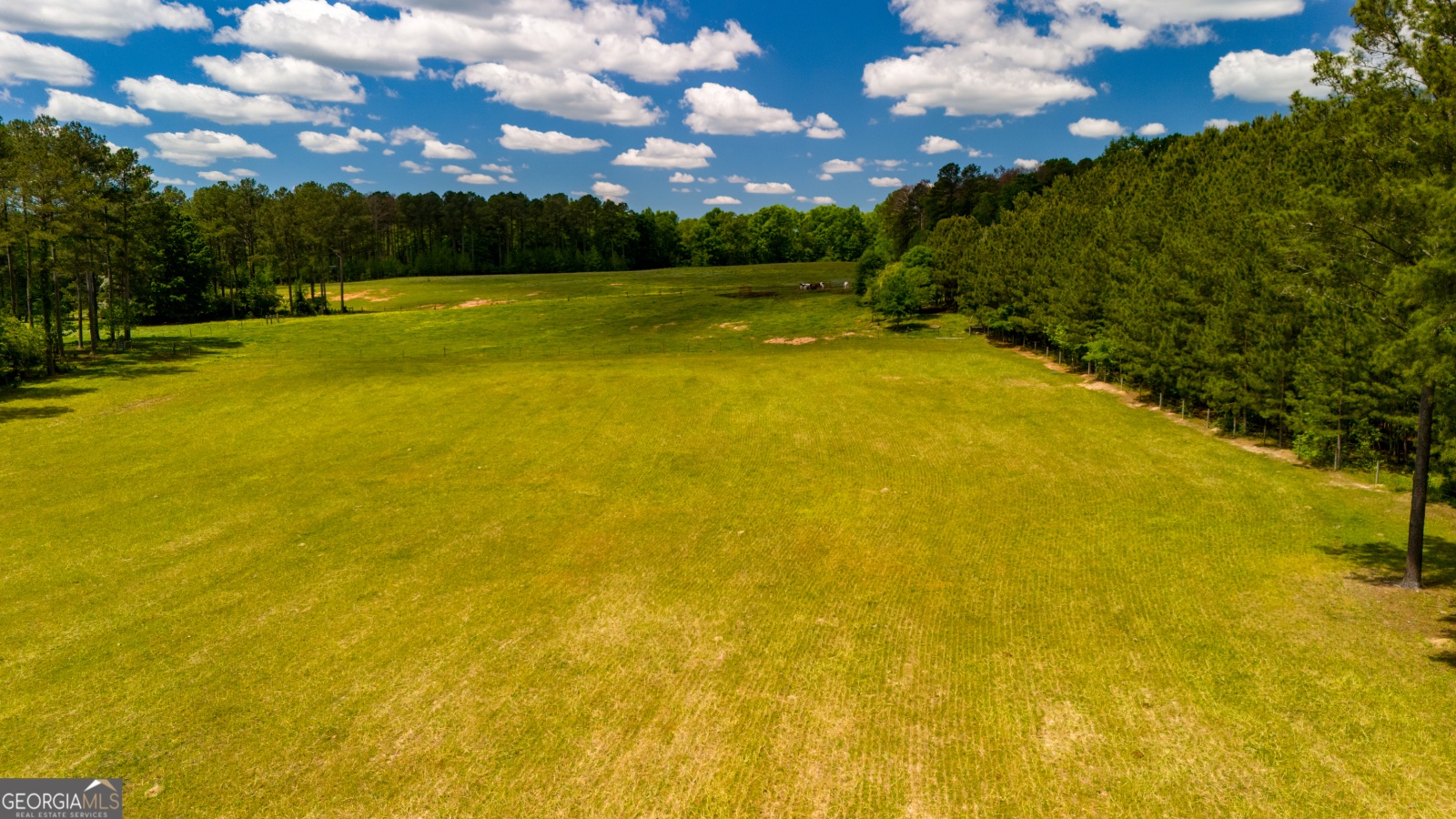 0 Alexander Road, Gay, Georgia 30218, ,Land,For Sale,Alexander,9138925