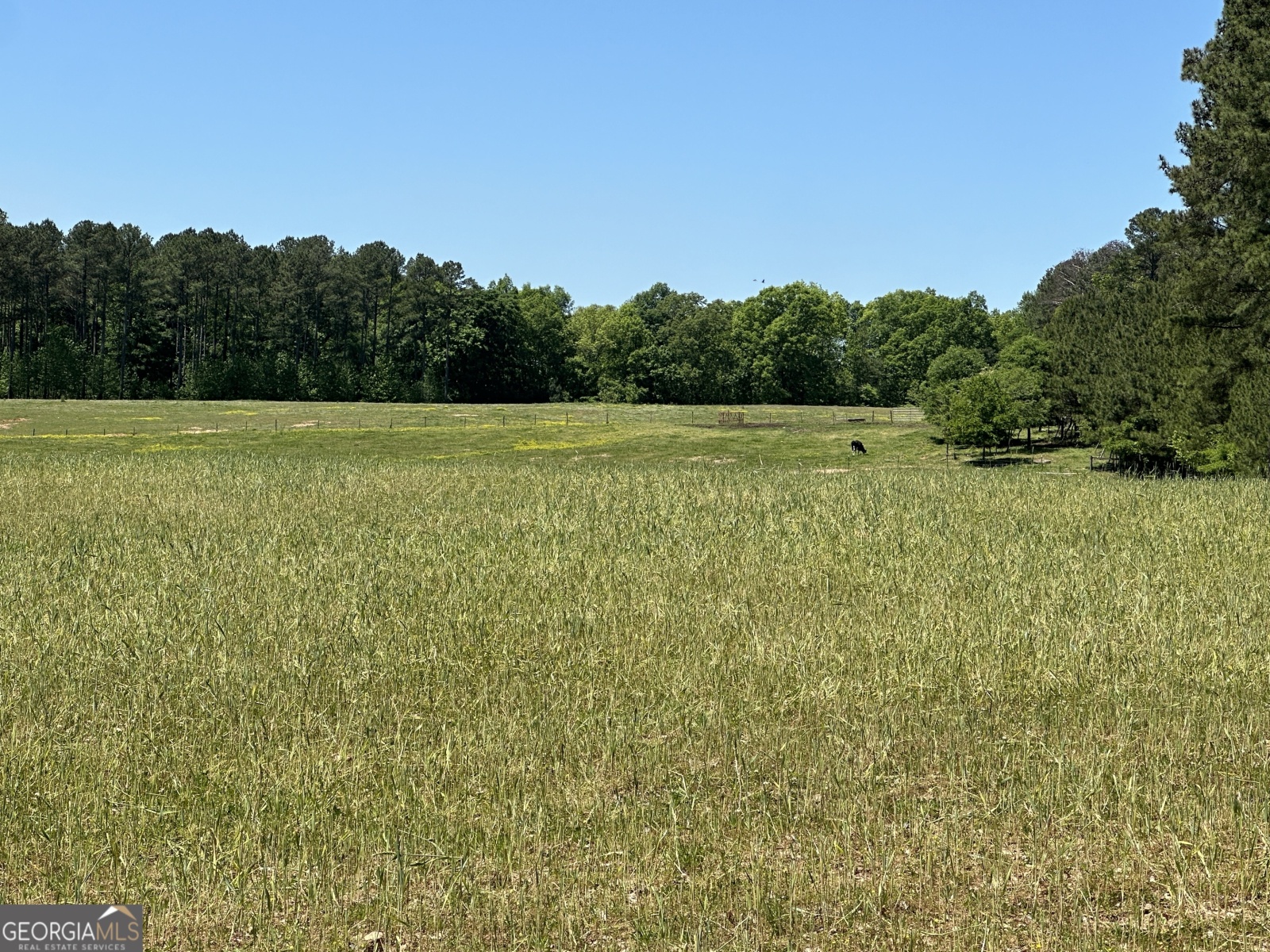 0 Alexander Road, Gay, Georgia 30218, ,Land,For Sale,Alexander,9138925