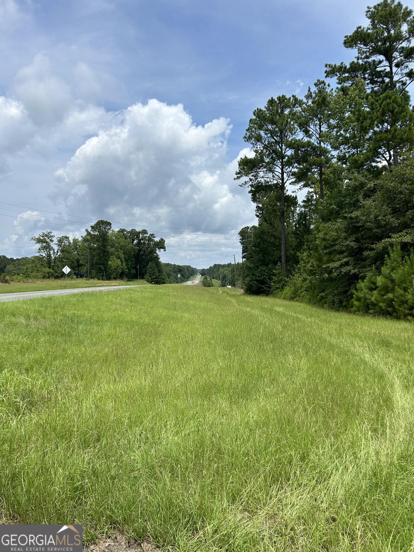 0 Highway 85, Woodbury, Georgia 30293, ,Land,For Sale,Highway 85,9138940