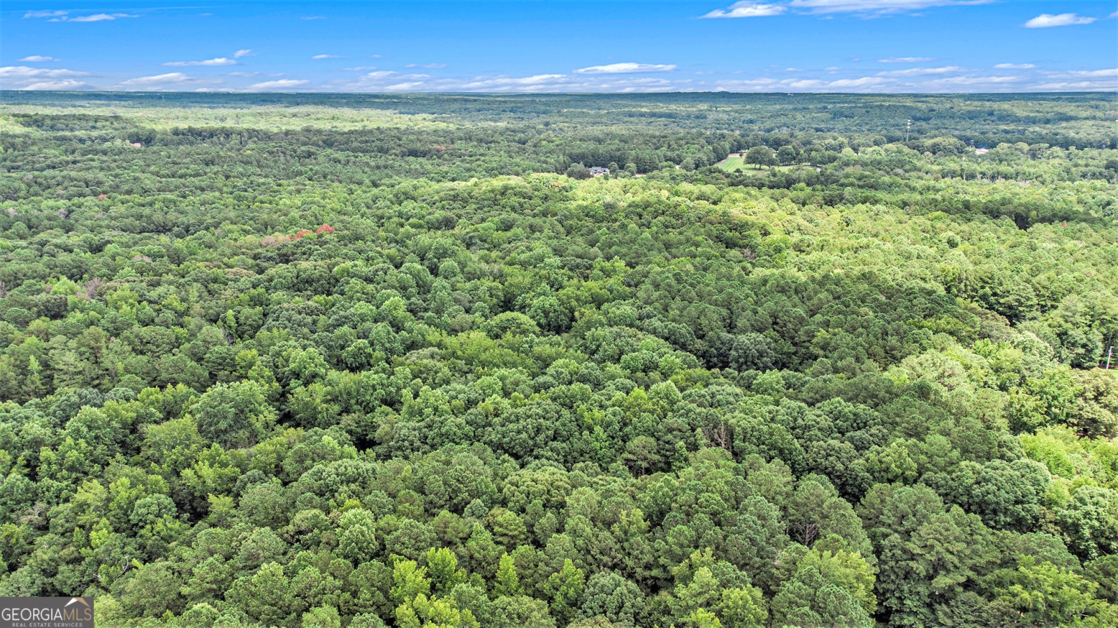 0 Nelms Road, Fayetteville, Georgia 30215, ,Land,For Sale,Nelms,9138962