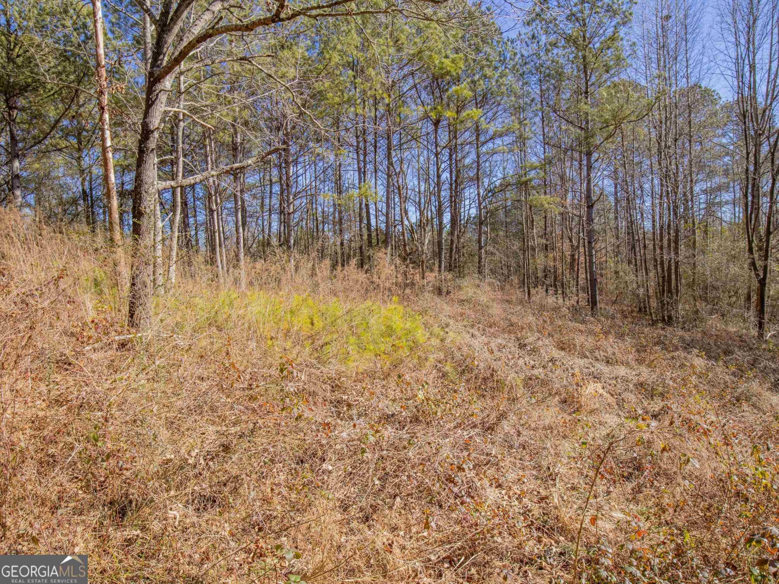 3247 Ga-120 Highway, Tallapoosa, Georgia 30176, ,Land,For Sale,Ga-120,9138983