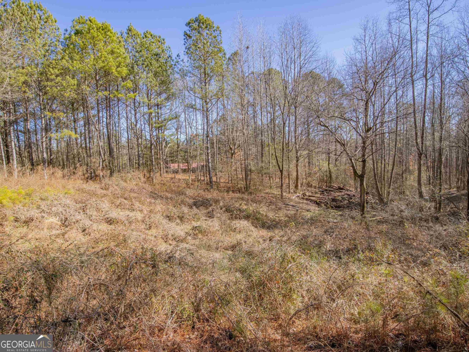 3247 Ga-120 Highway, Tallapoosa, Georgia 30176, ,Land,For Sale,Ga-120,9138983