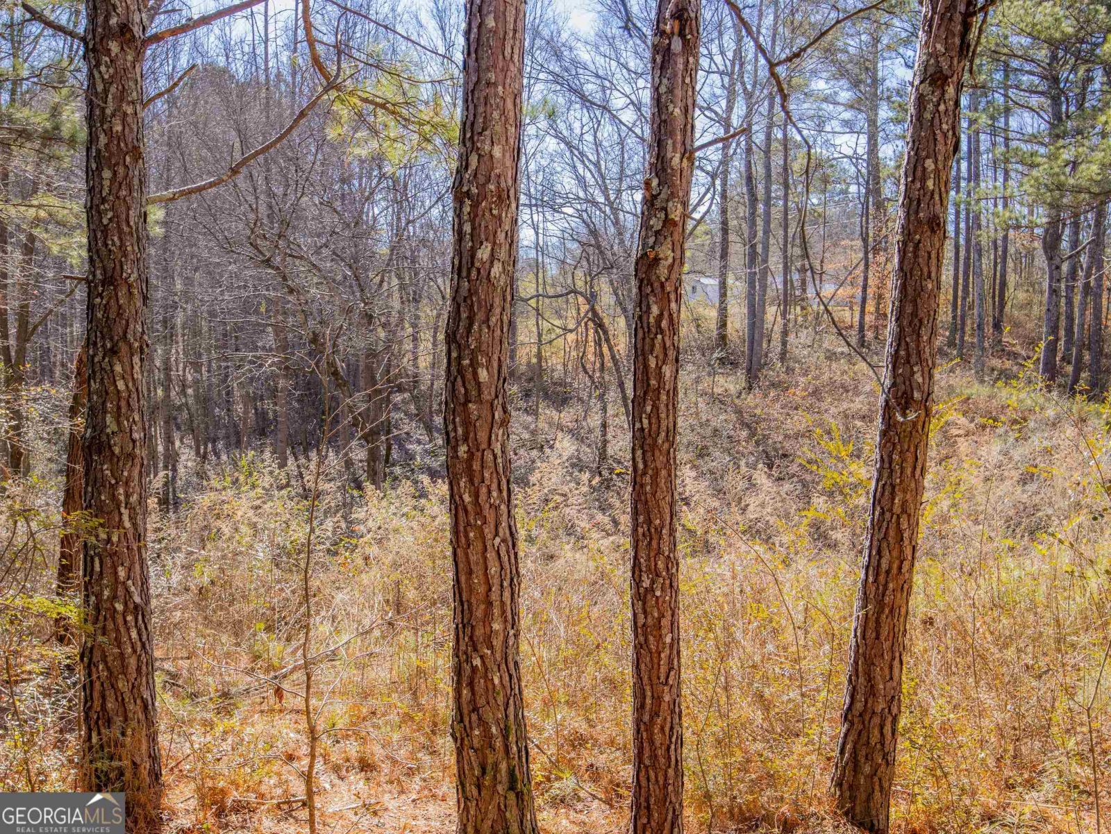 3247 Ga-120 Highway, Tallapoosa, Georgia 30176, ,Land,For Sale,Ga-120,9138983