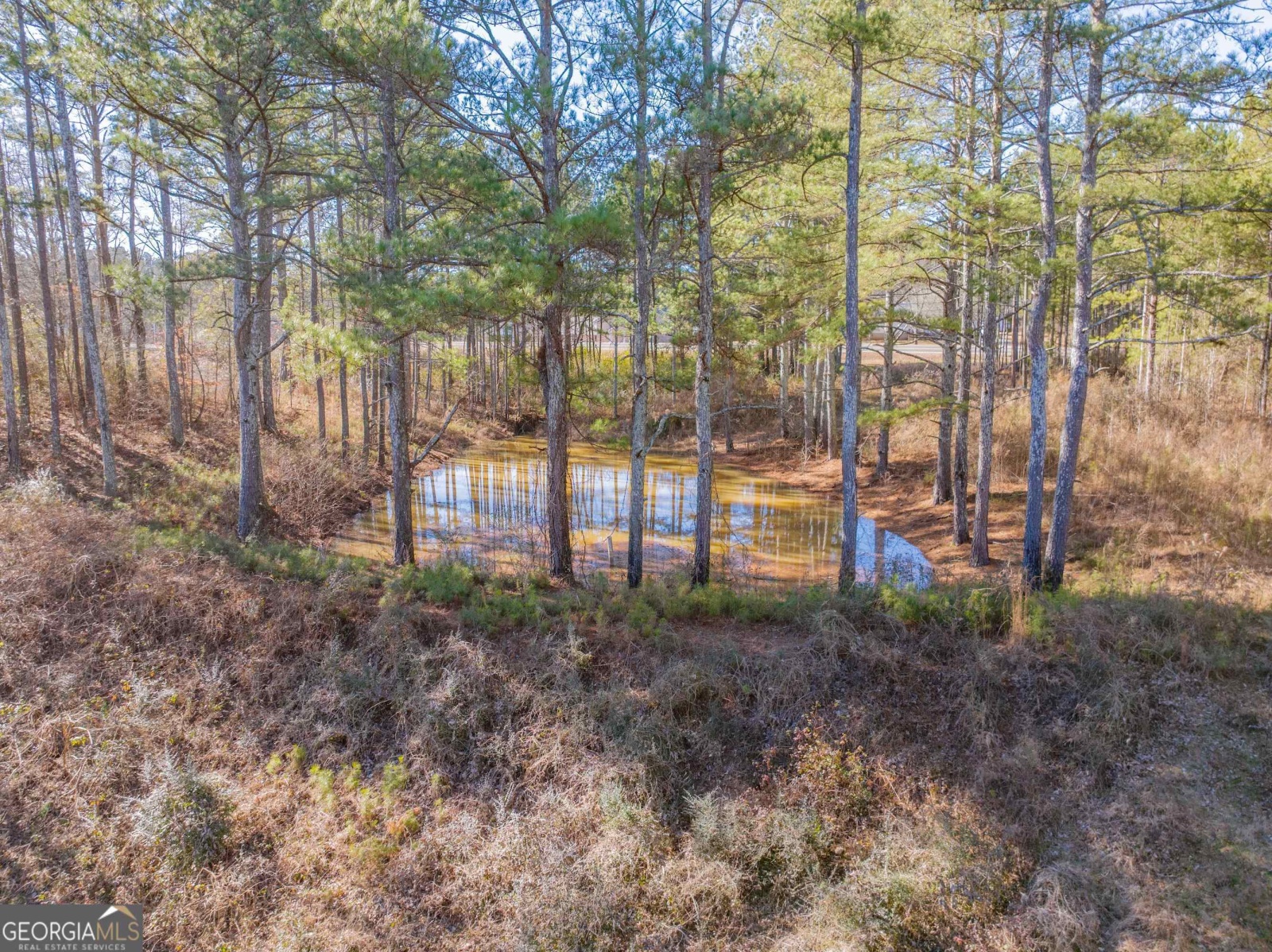 3247 Ga-120 Highway, Tallapoosa, Georgia 30176, ,Land,For Sale,Ga-120,9138983