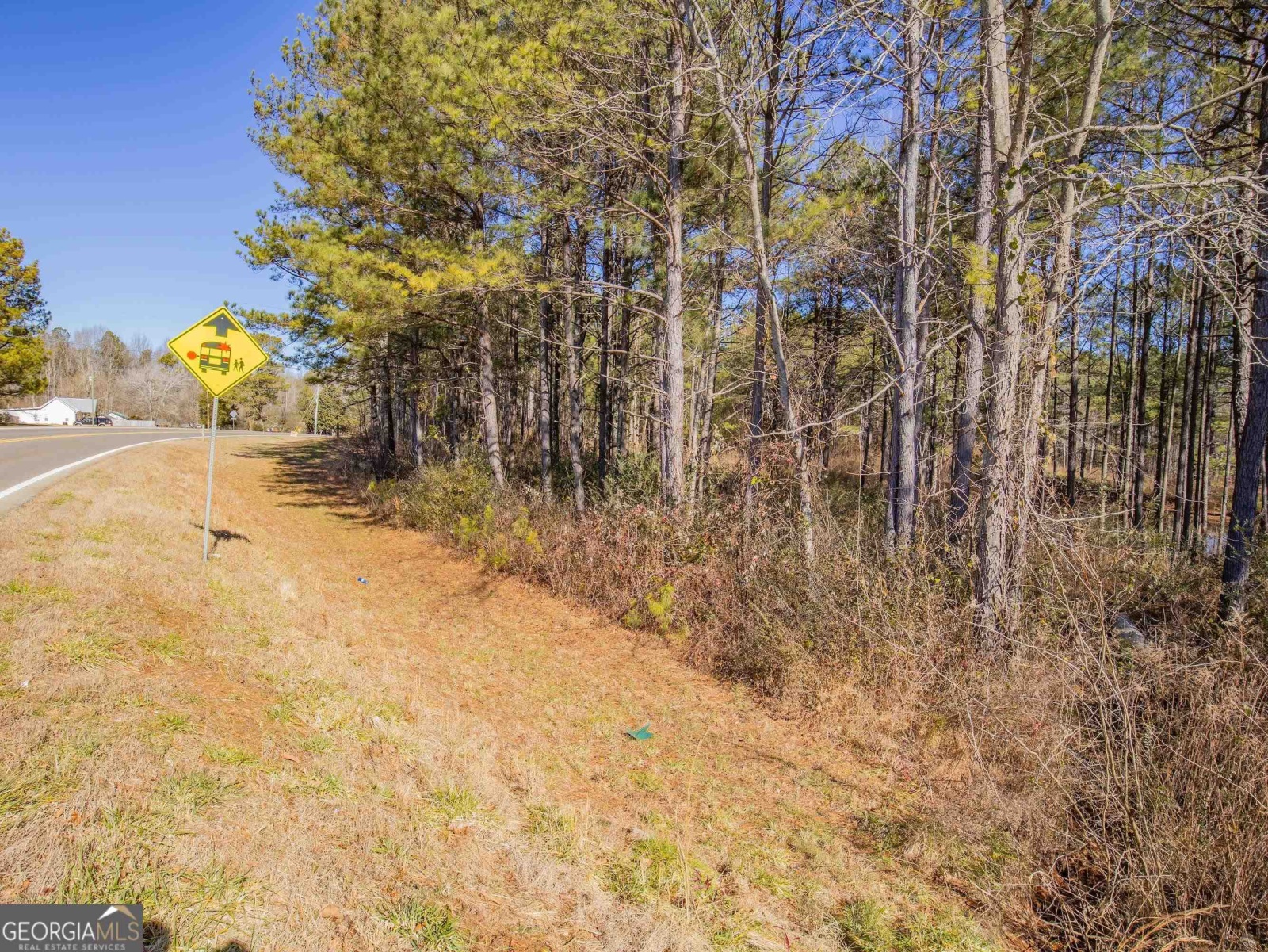 3247 Ga-120 Highway, Tallapoosa, Georgia 30176, ,Land,For Sale,Ga-120,9138983