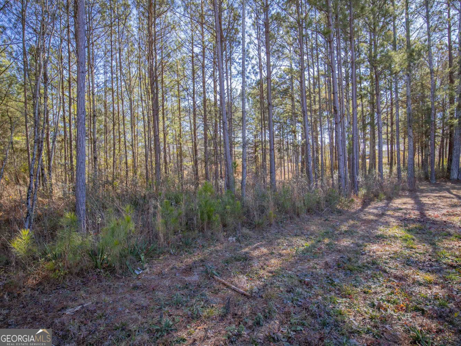 3247 Ga-120 Highway, Tallapoosa, Georgia 30176, ,Land,For Sale,Ga-120,9138983