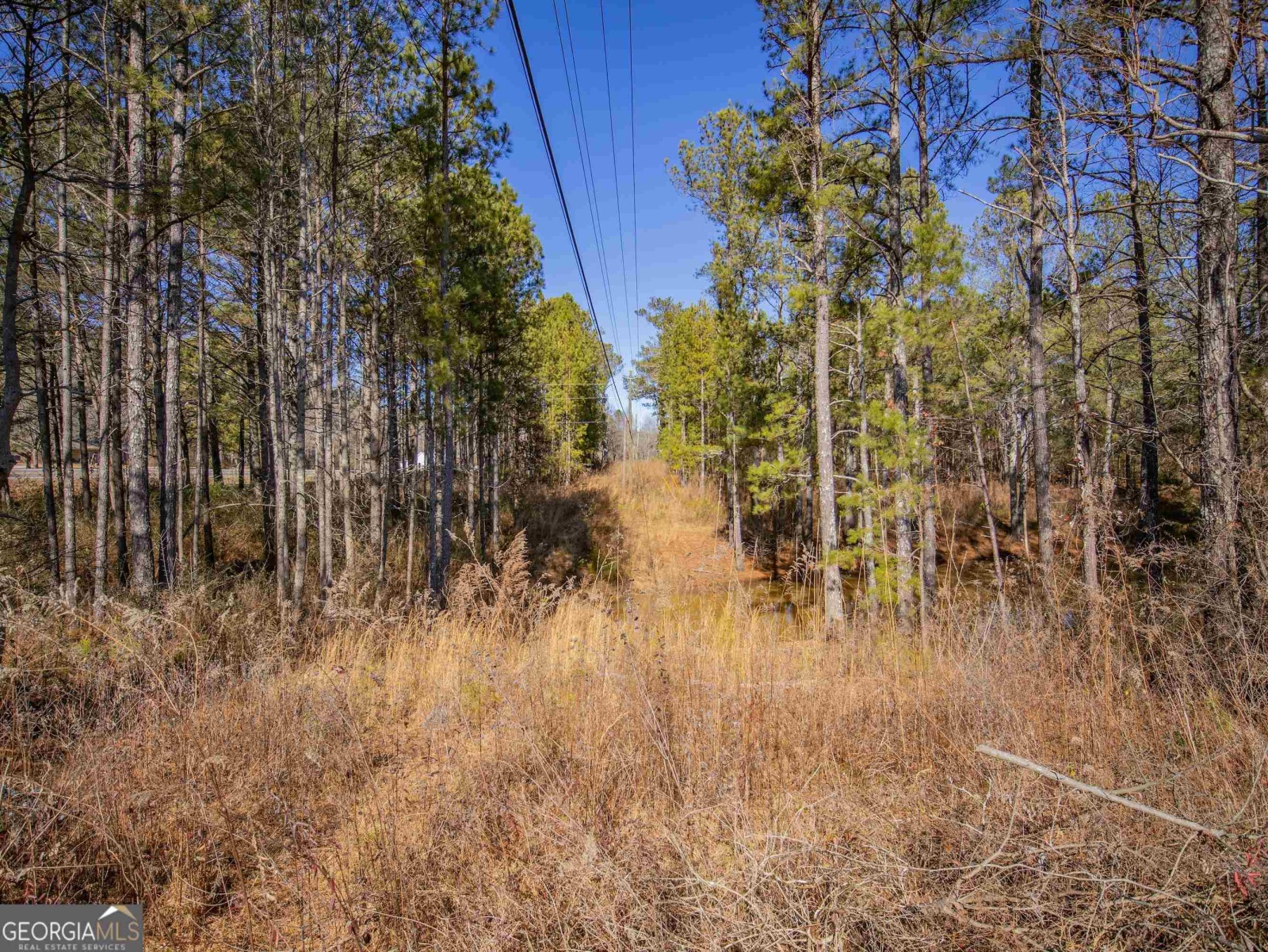 3247 Ga-120 Highway, Tallapoosa, Georgia 30176, ,Land,For Sale,Ga-120,9138983