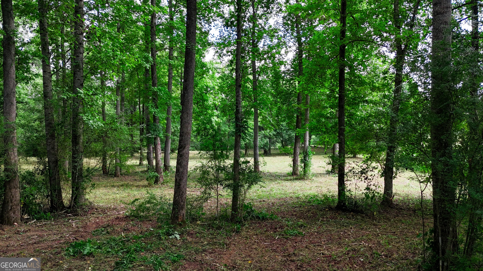 295 J Davis Rd Road, Tallapoosa, Georgia 30176, ,Land,For Sale,J Davis Rd,9139005