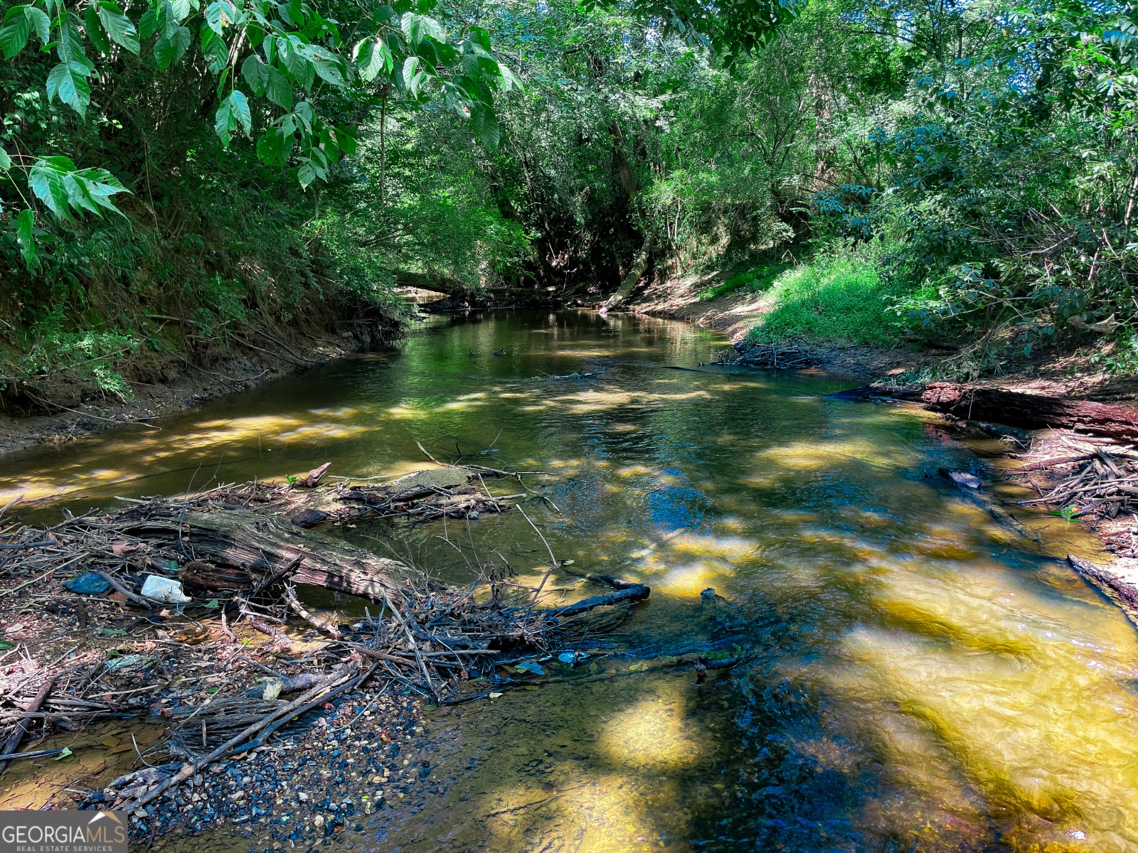 295 J Davis Rd Road, Tallapoosa, Georgia 30176, ,Land,For Sale,J Davis Rd,9139005