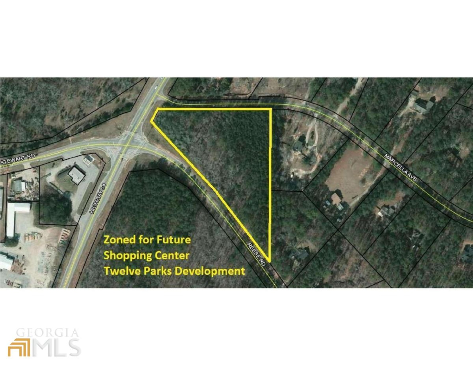 00 Highway 54, Sharpsburg, Georgia 30277, ,Land,For Sale,Highway 54,9139051