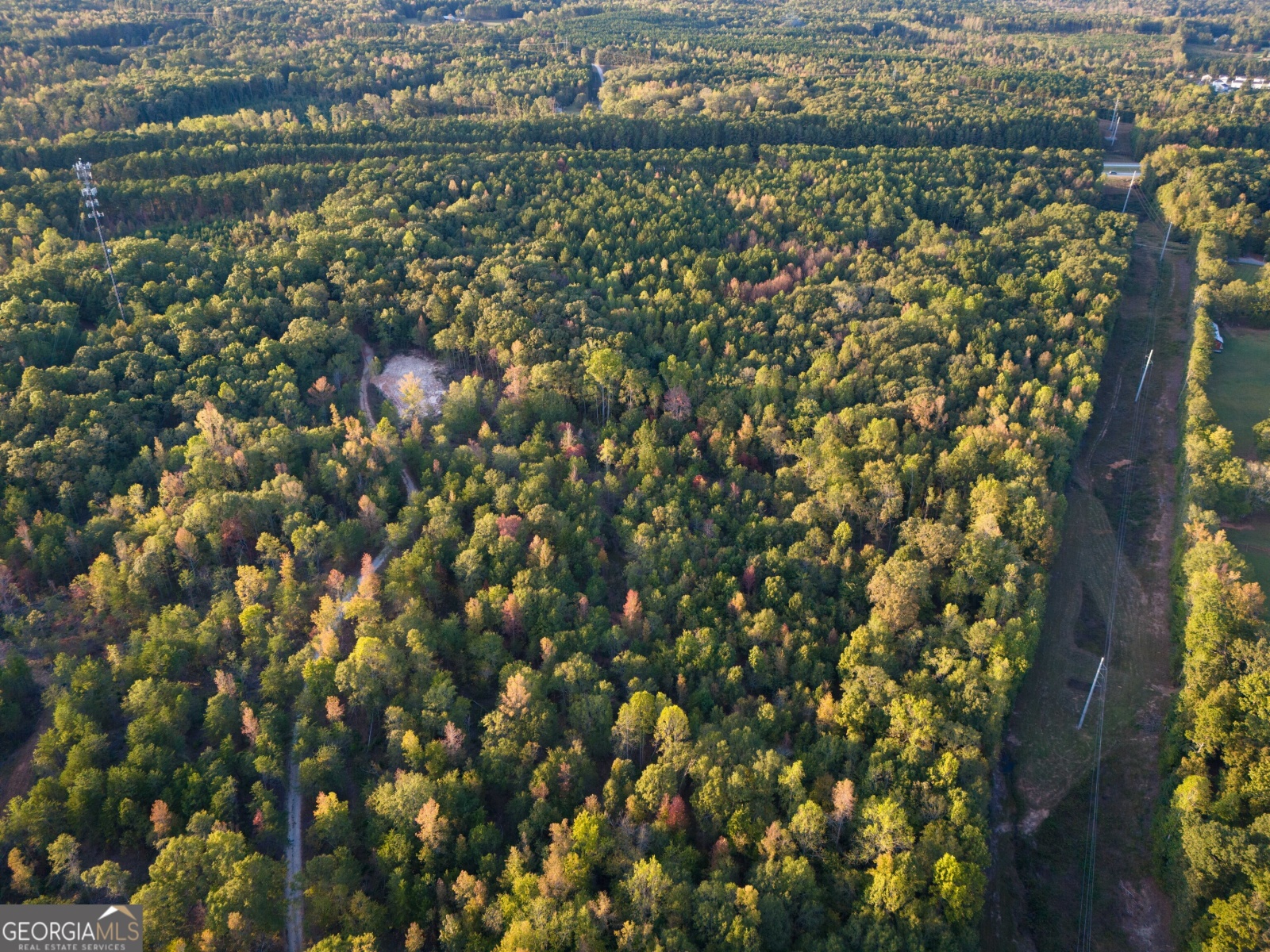 142 Terrell Road, Temple, Georgia 30179, ,Land,For Sale,Terrell,9139138