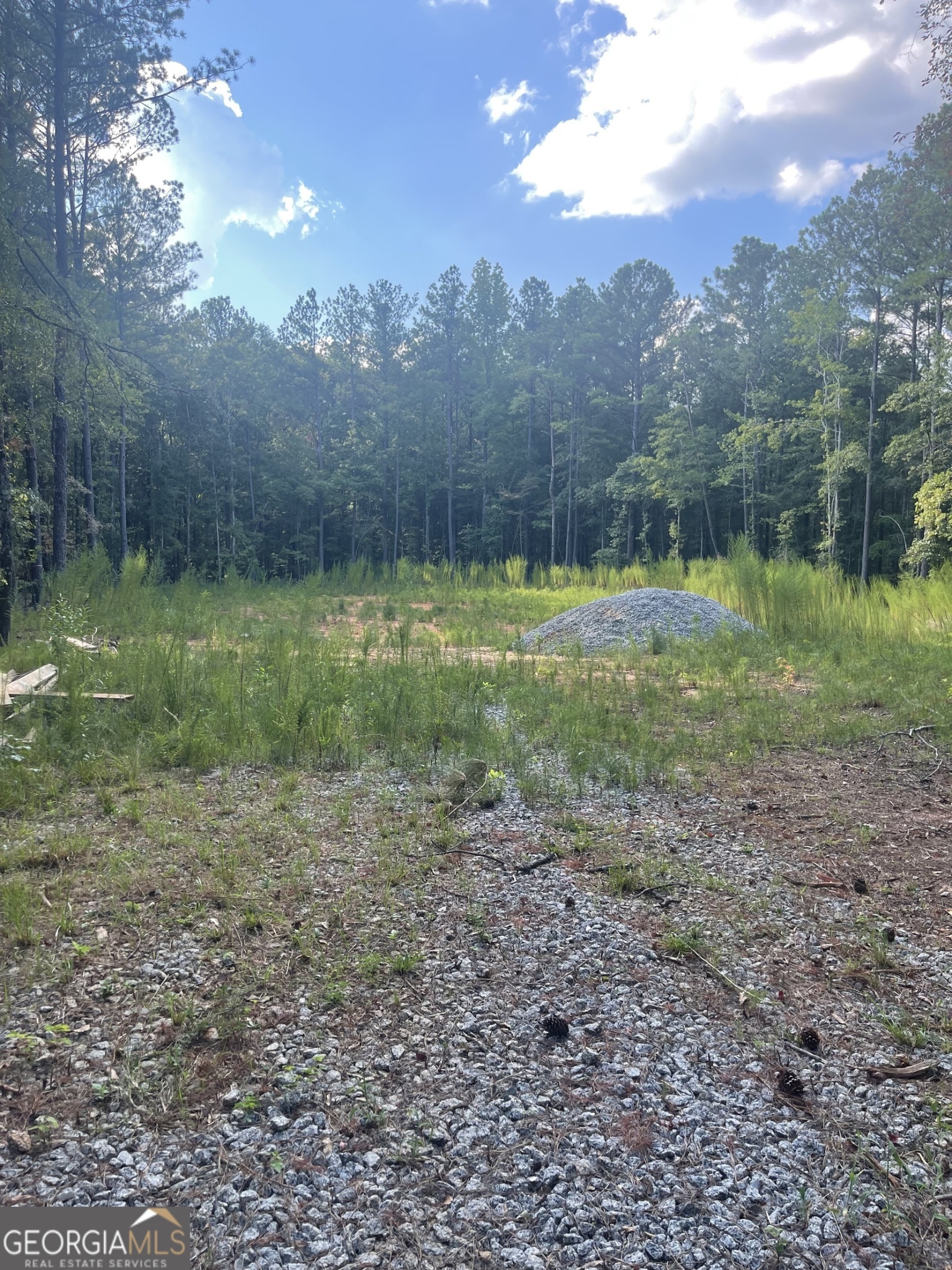 LOT 3 Cecil Hunter Rd, Moreland, Georgia 30259, ,Land,For Sale,Cecil Hunter Rd,9139150