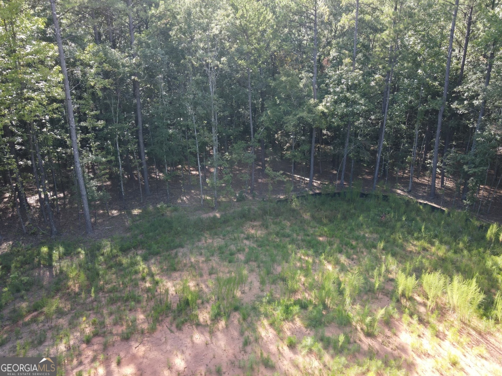 LOT 3 Cecil Hunter Rd, Moreland, Georgia 30259, ,Land,For Sale,Cecil Hunter Rd,9139150