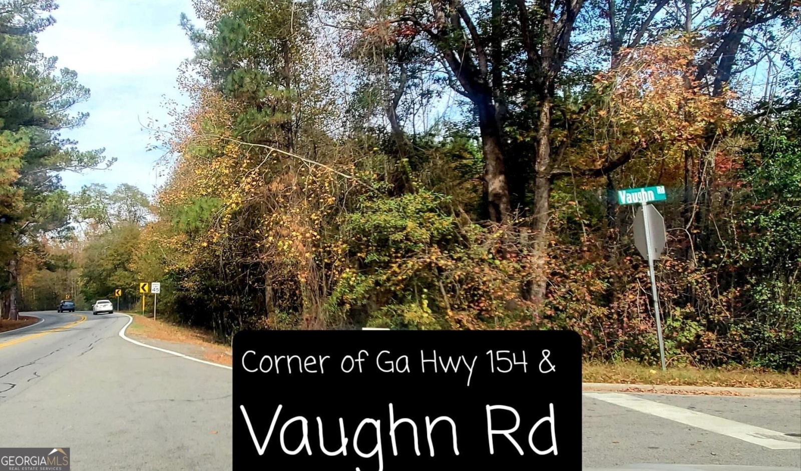 LOT 5 Vaughn Rd, Newnan, Georgia 30265, ,Land,For Sale,Vaughn Rd,9139201