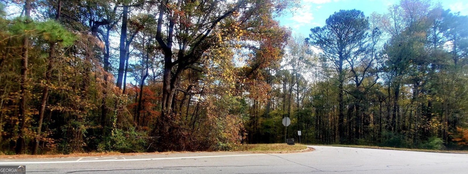 LOT 5 Vaughn Rd, Newnan, Georgia 30265, ,Land,For Sale,Vaughn Rd,9139201