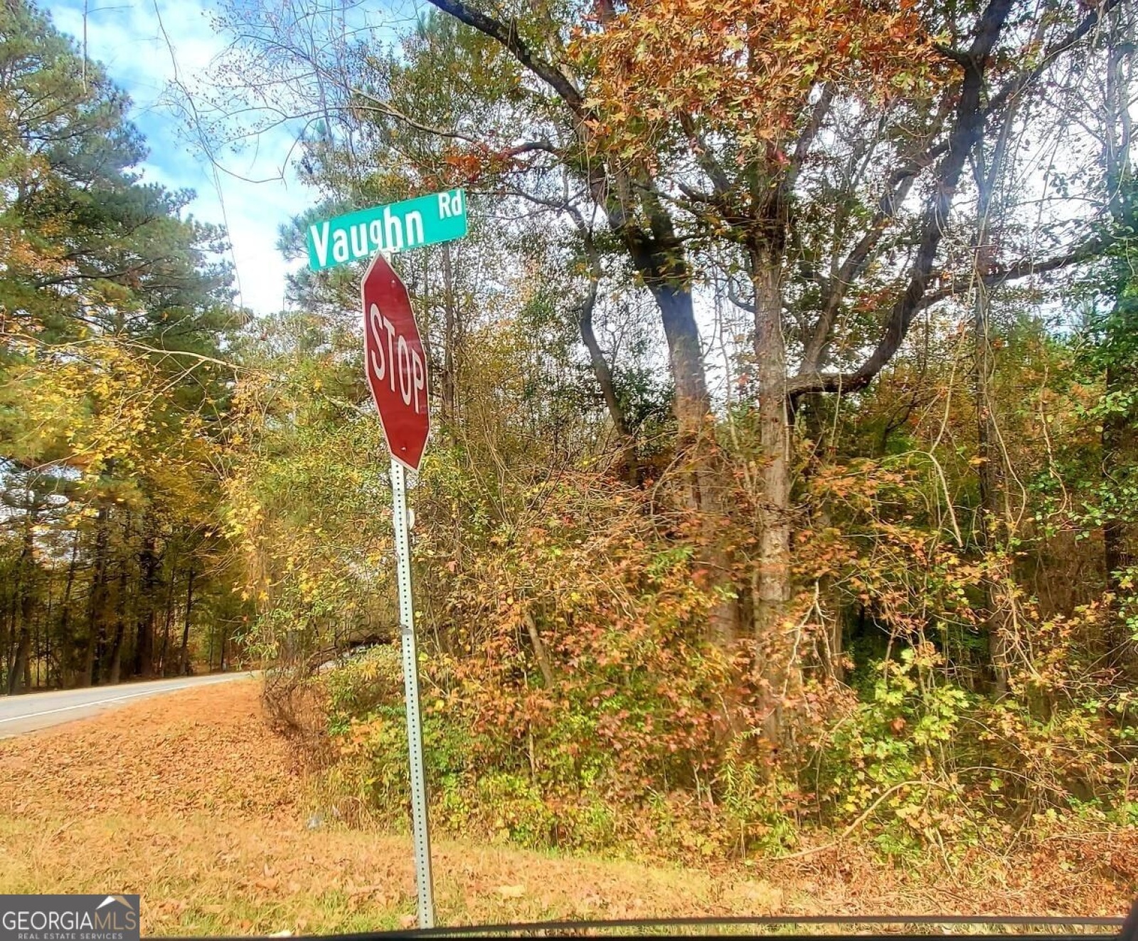 LOT 5 Vaughn Rd, Newnan, Georgia 30265, ,Land,For Sale,Vaughn Rd,9139201