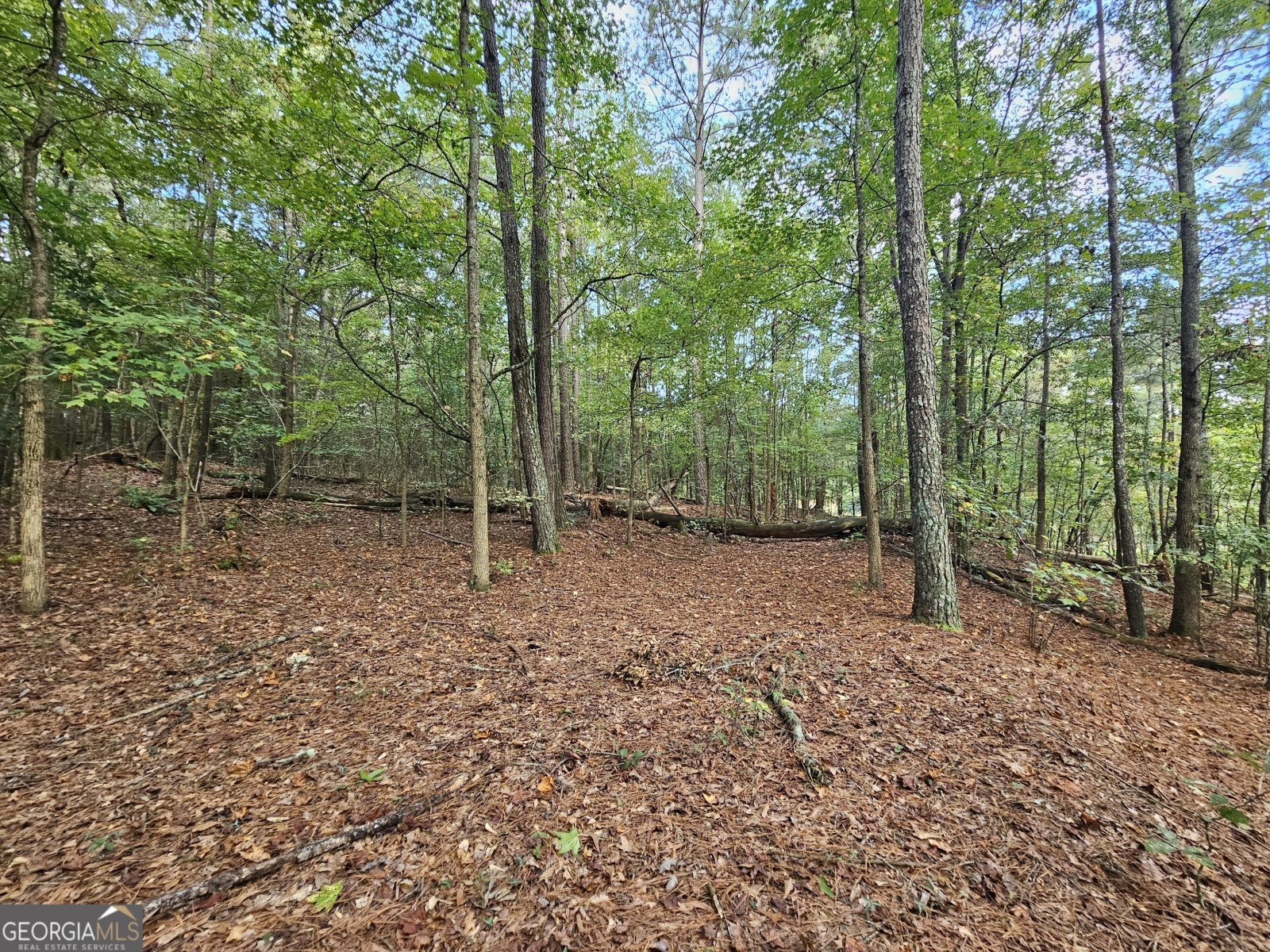 0 Goshen Church Road, Franklin, Georgia 30217, ,Land,For Sale,Goshen Church Road,9139203