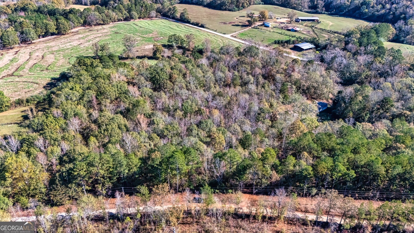 0 Holly, Franklin, Georgia 30217, ,Land,For Sale,Holly,9139216