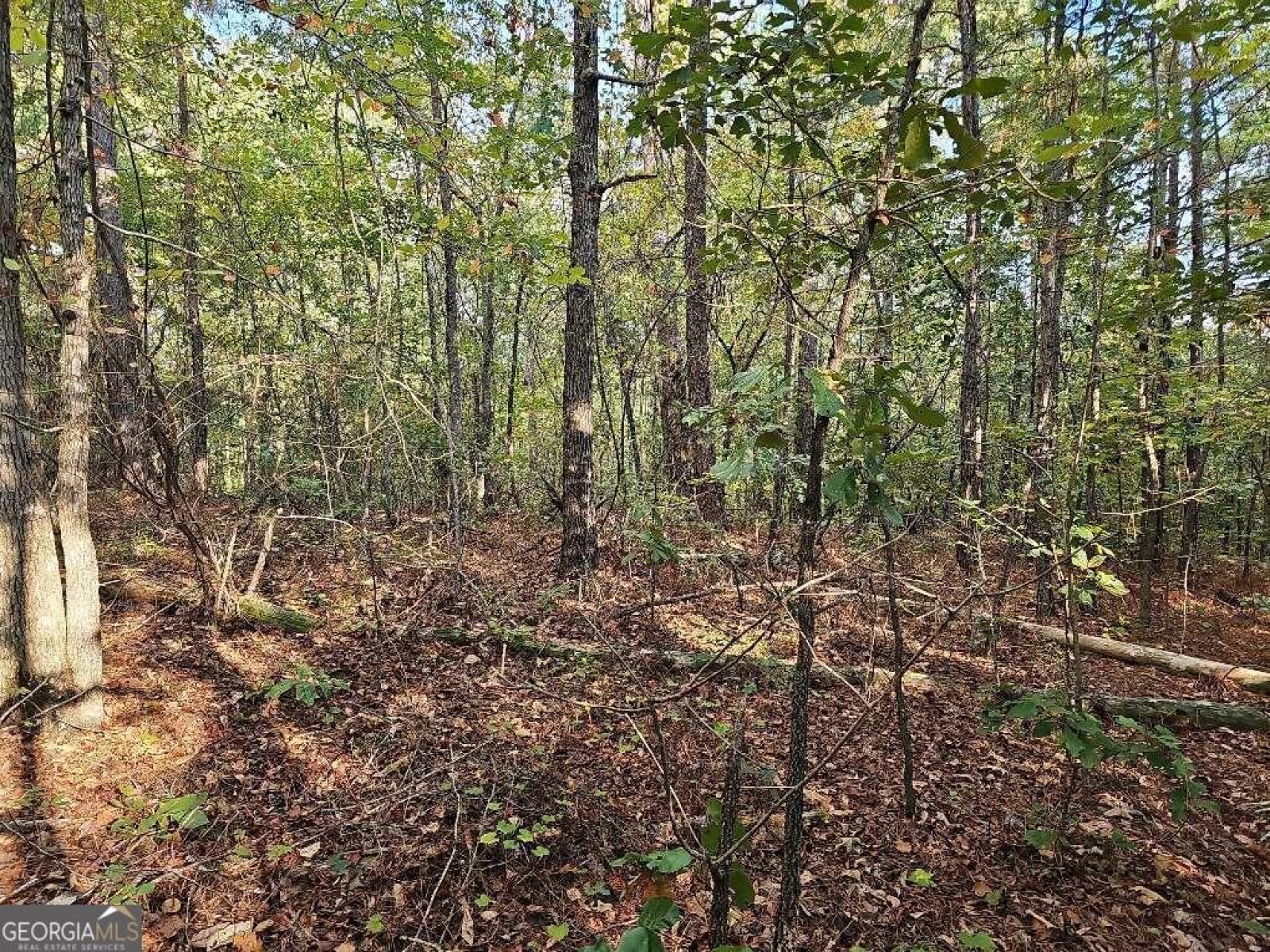 0 County School Road, Tallapoosa, Georgia 30176, ,Land,For Sale,County School,9139227