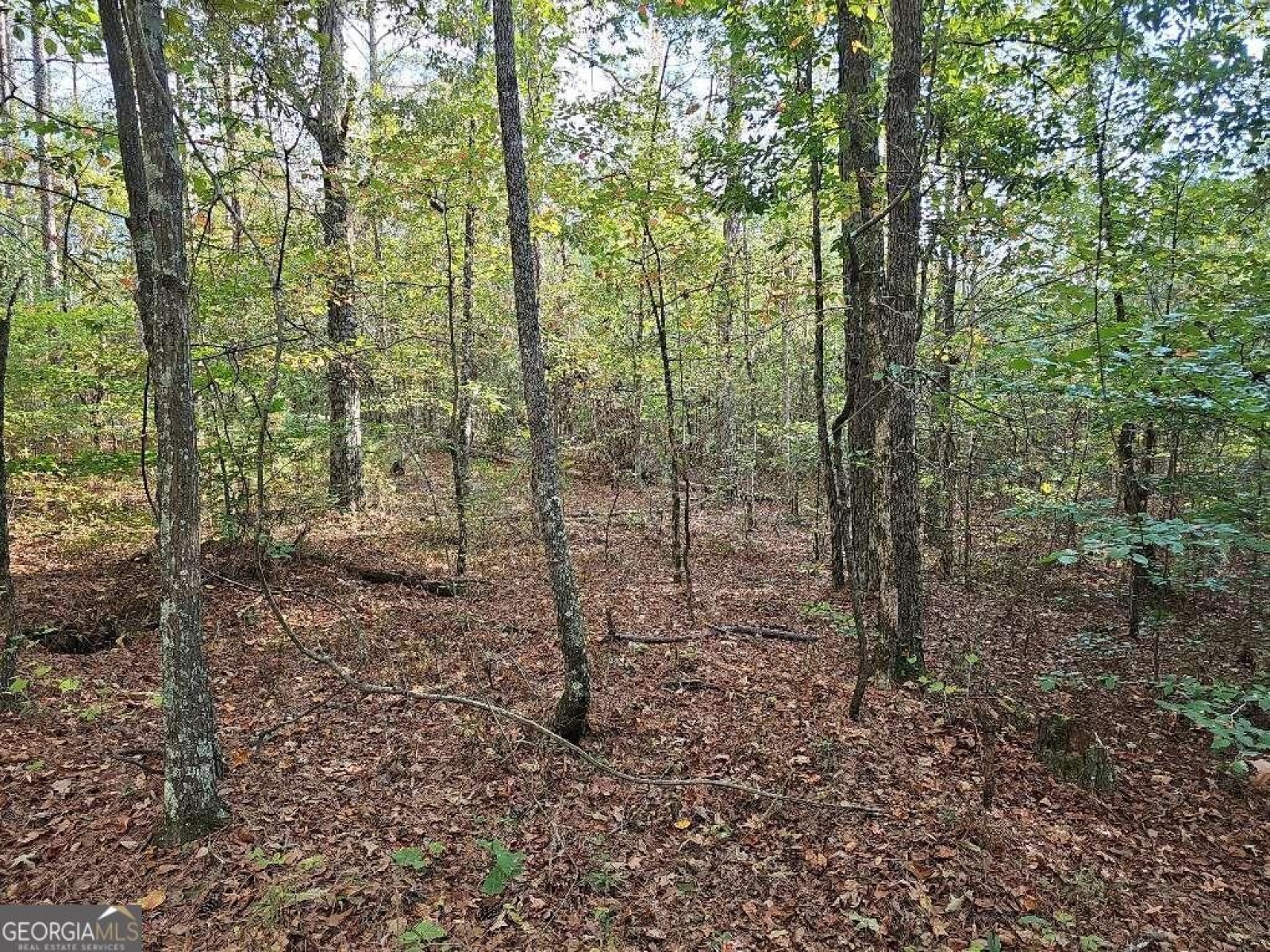 0 County School Road, Tallapoosa, Georgia 30176, ,Land,For Sale,County School,9139227