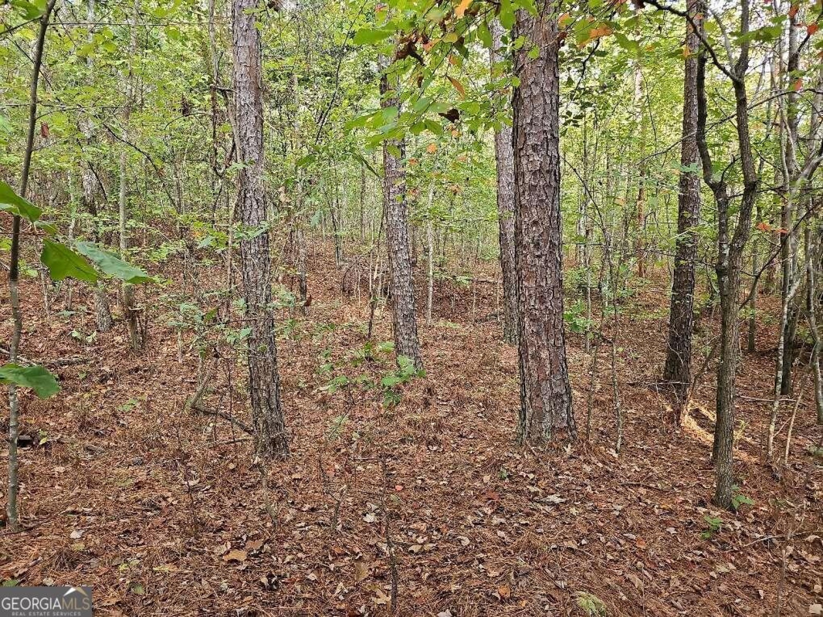 0 County School Road, Tallapoosa, Georgia 30176, ,Land,For Sale,County School,9139227