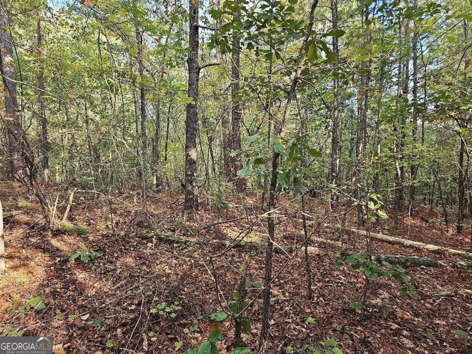 0 County School Road, Tallapoosa, Georgia 30176, ,Land,For Sale,County School,9139227