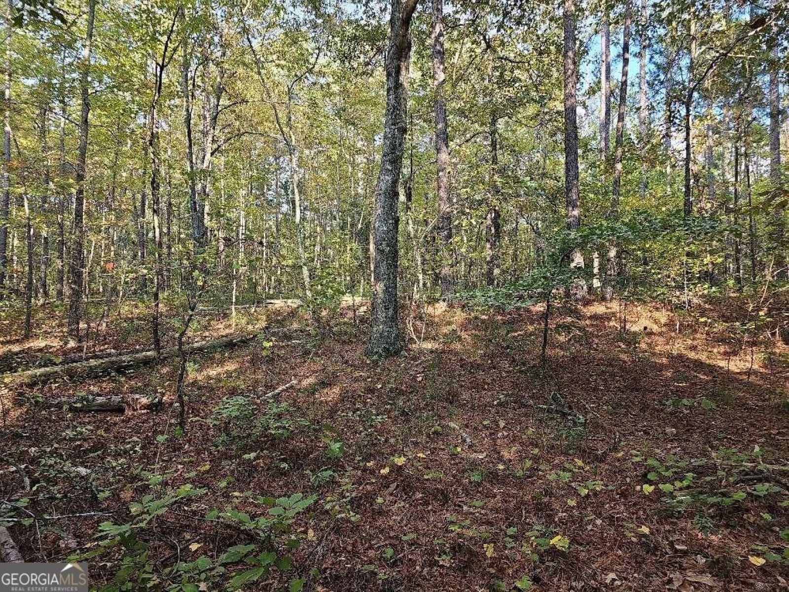 0 County School Road, Tallapoosa, Georgia 30176, ,Land,For Sale,County School,9139227