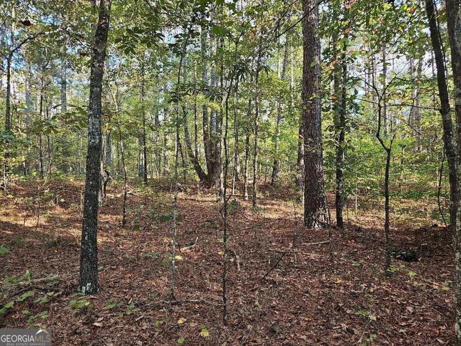 0 County School Road, Tallapoosa, Georgia 30176, ,Land,For Sale,County School,9139227