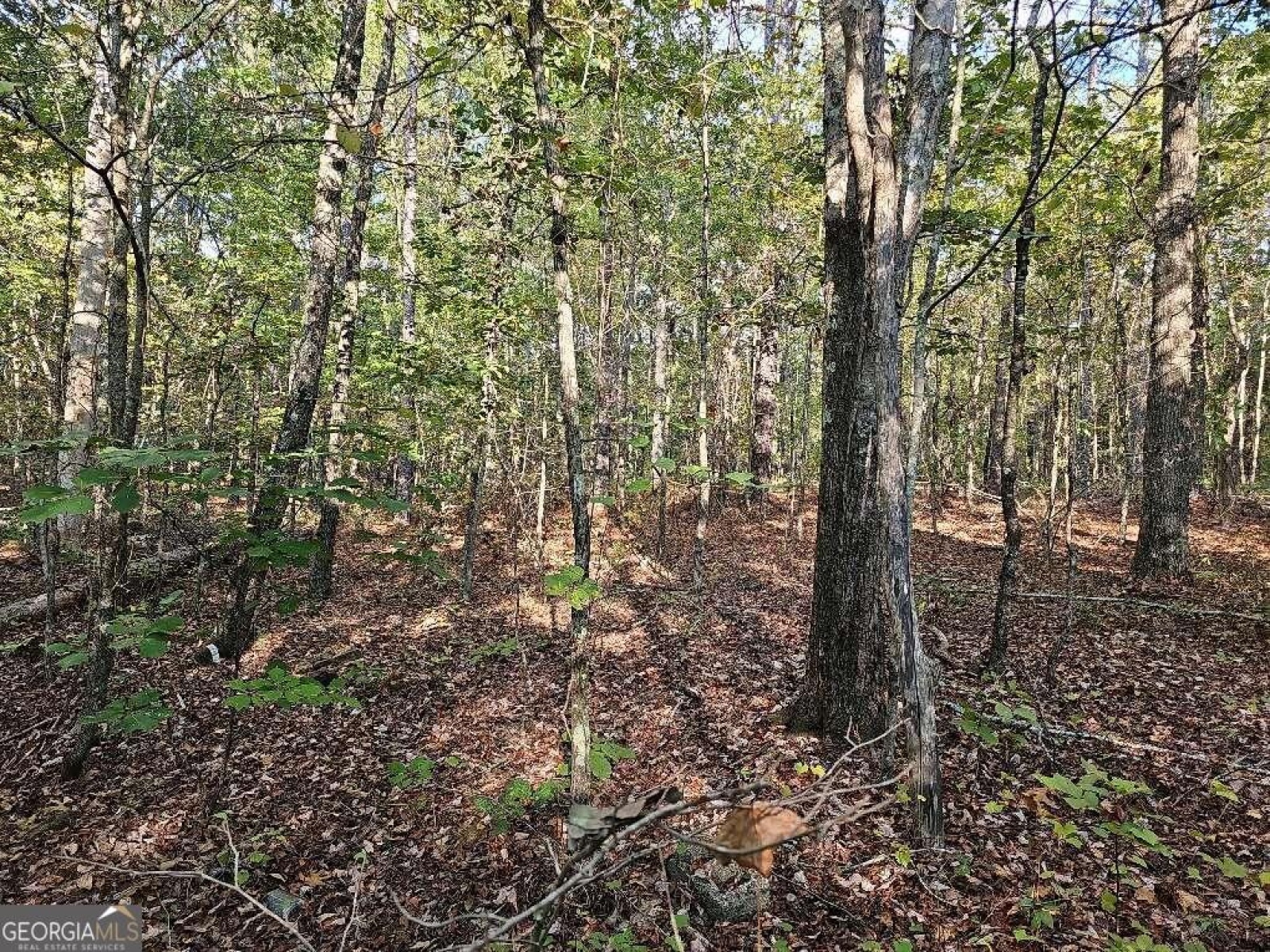 0 County School Road, Tallapoosa, Georgia 30176, ,Land,For Sale,County School,9139227