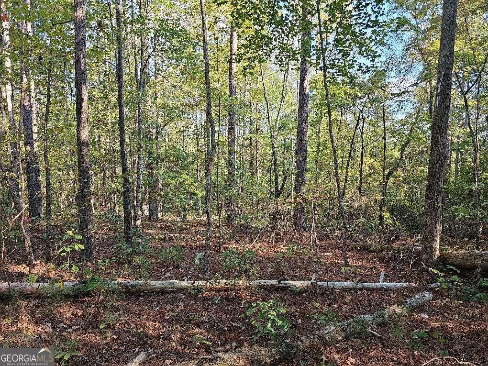 0 County School Road, Tallapoosa, Georgia 30176, ,Land,For Sale,County School,9139227