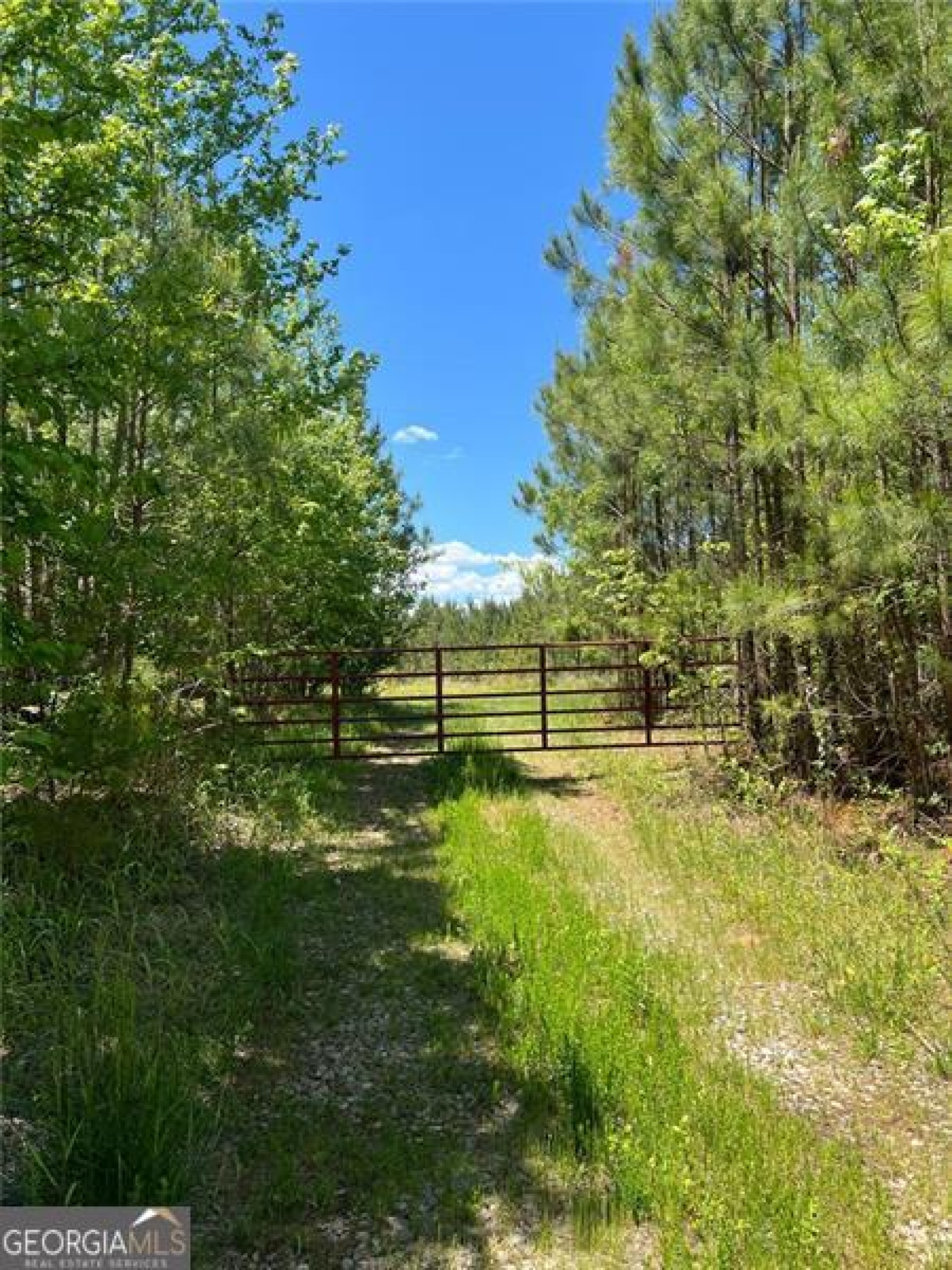 0 Macedonia Church Road, Buchanan, Georgia 30113, ,Land,For Sale,Macedonia Church,9139302