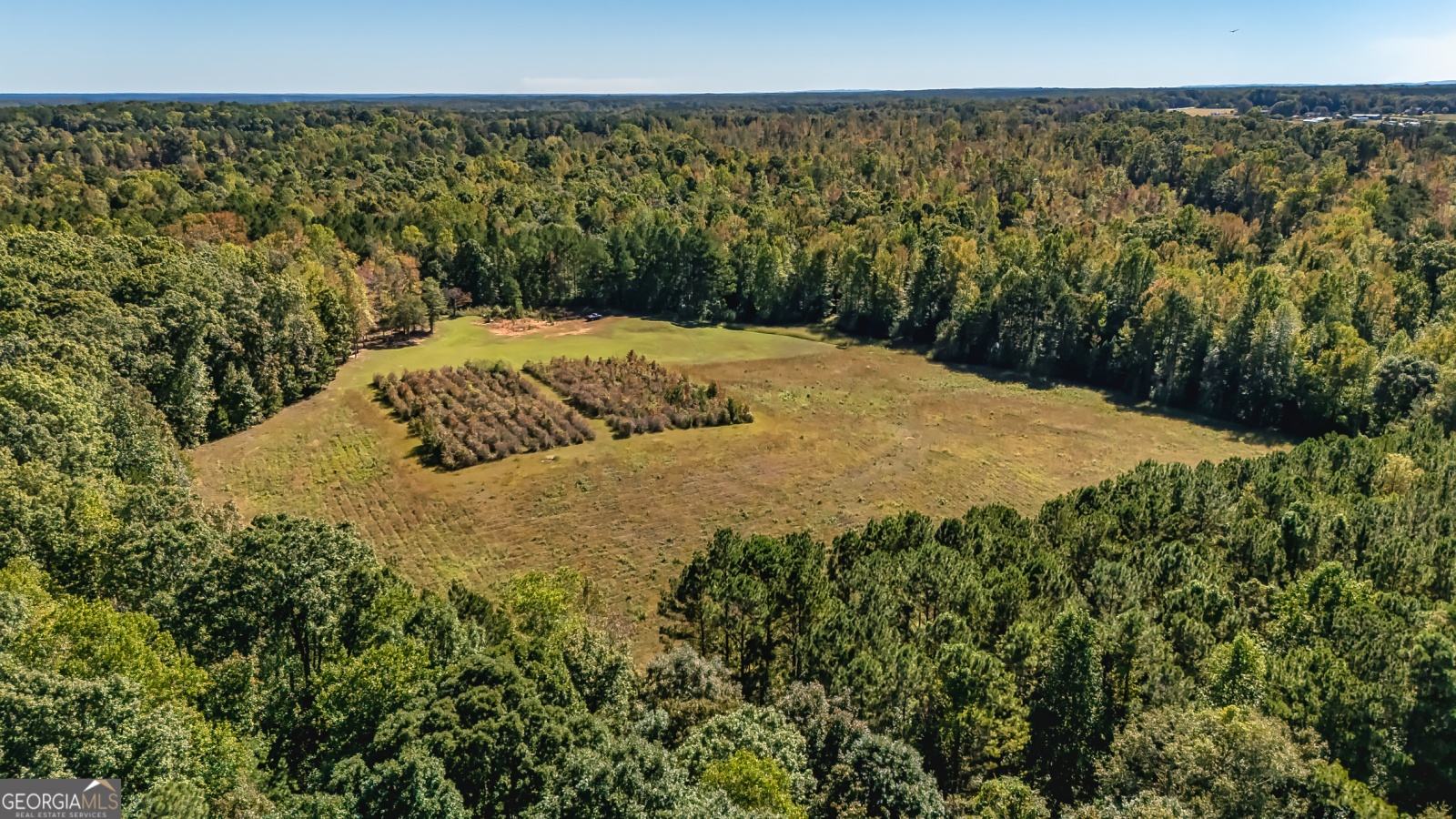 230 Haynes Road, Moreland, Georgia 30259, ,Land,For Sale,Haynes,9139322