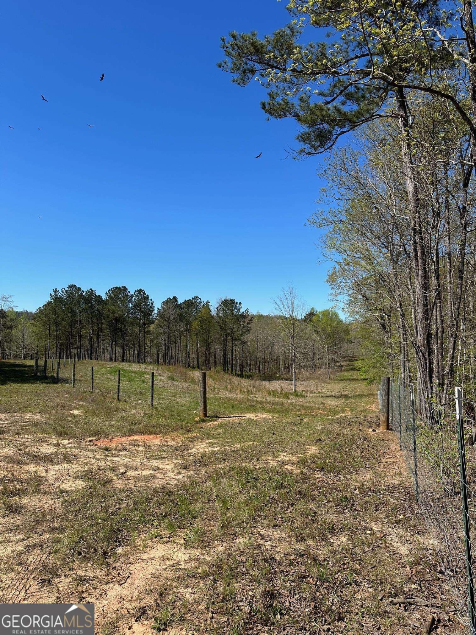 0 O Street, Hamilton, Georgia 31811, ,Land,For Sale,O,9139398