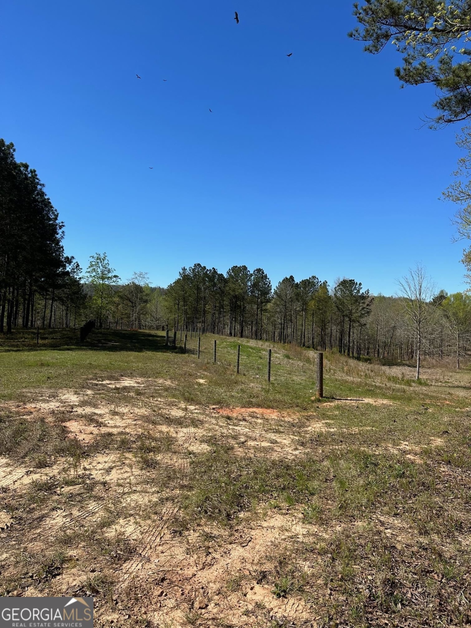 0 O Street, Hamilton, Georgia 31811, ,Land,For Sale,O,9139398