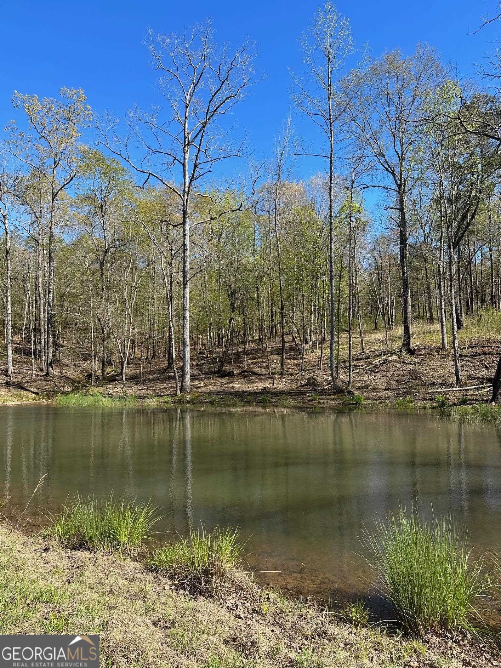 0 O Street, Hamilton, Georgia 31811, ,Land,For Sale,O,9139398