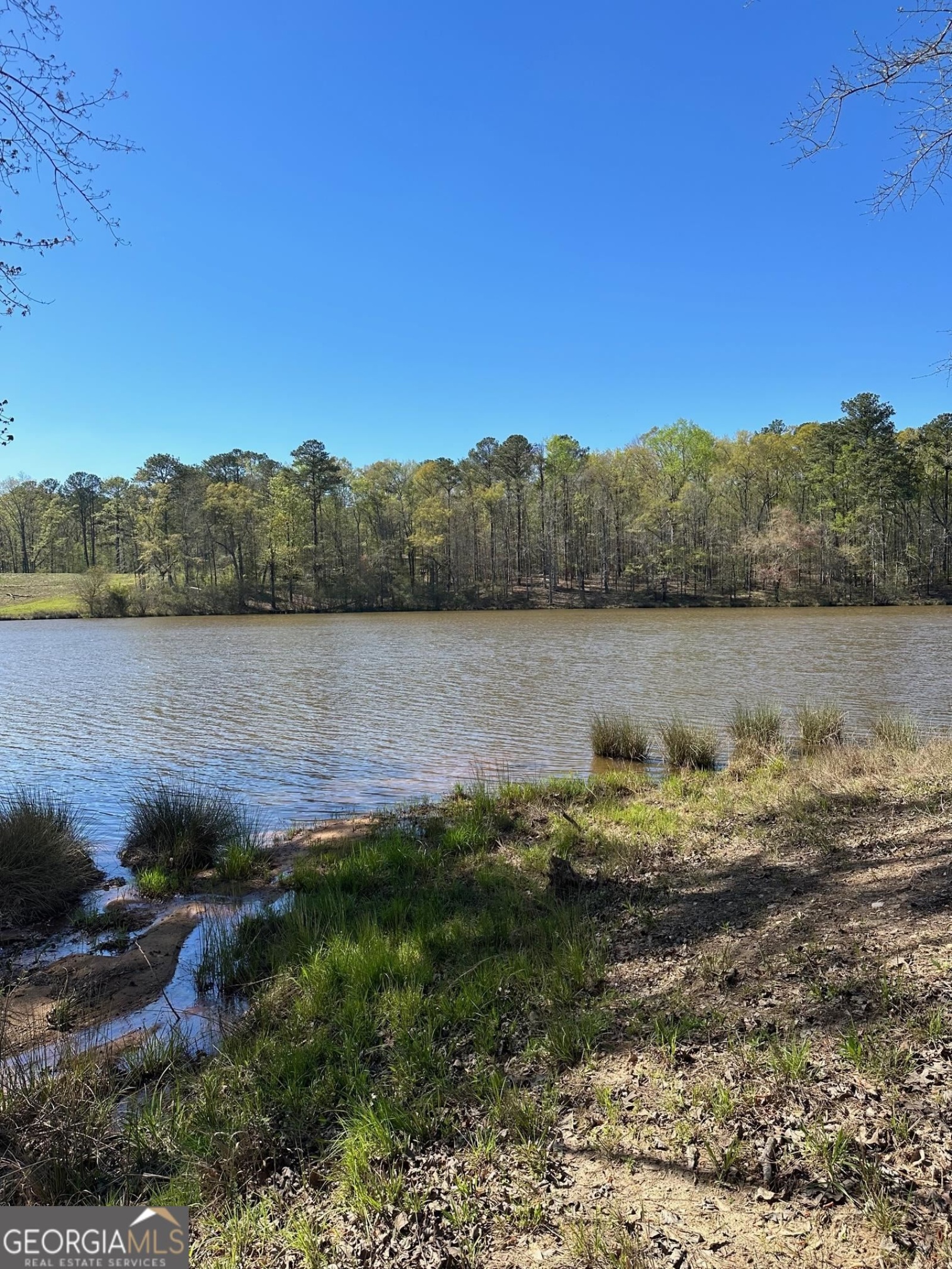 0 O Street, Hamilton, Georgia 31811, ,Land,For Sale,O,9139398