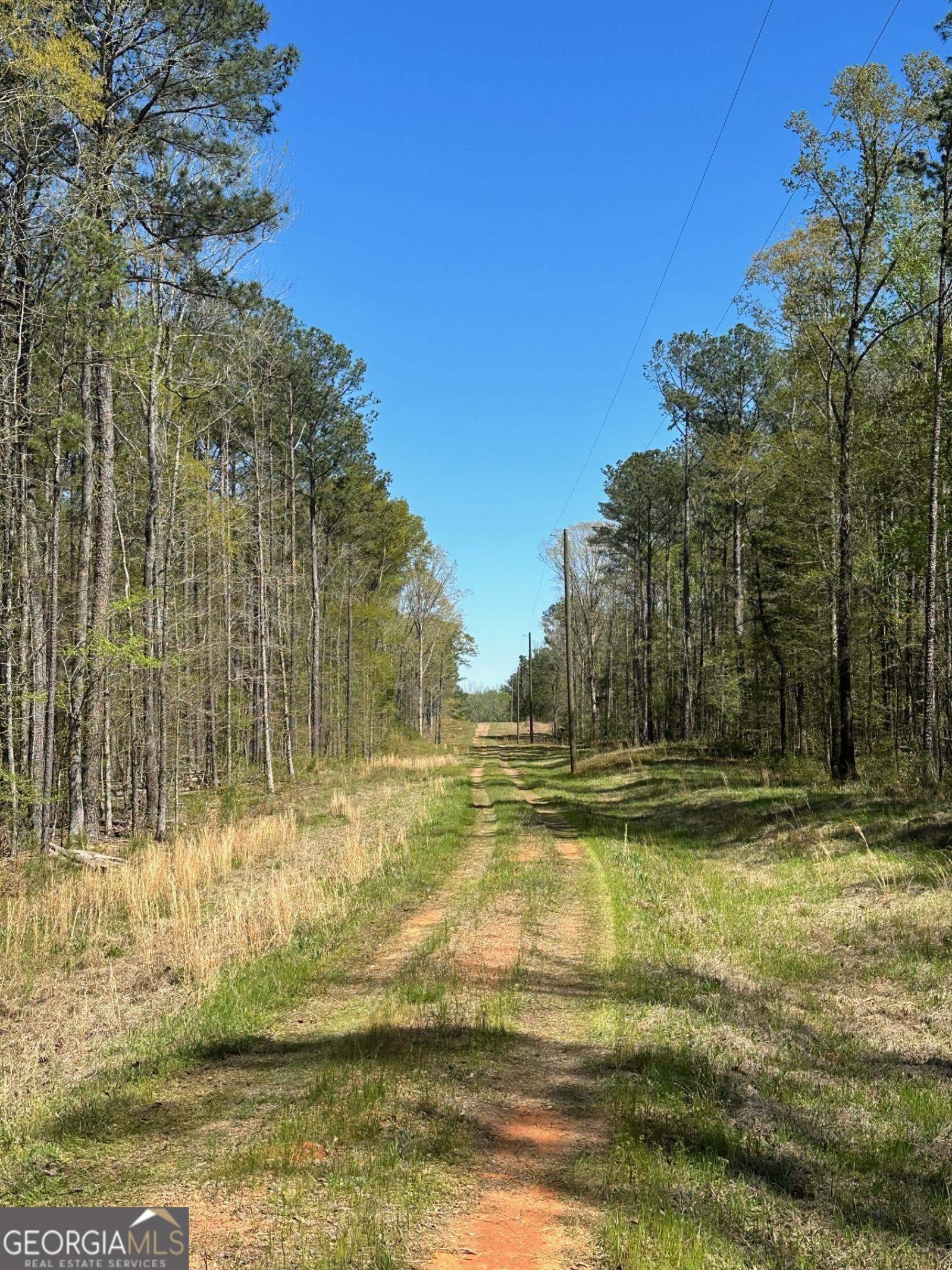 0 O Street, Hamilton, Georgia 31811, ,Land,For Sale,O,9139398