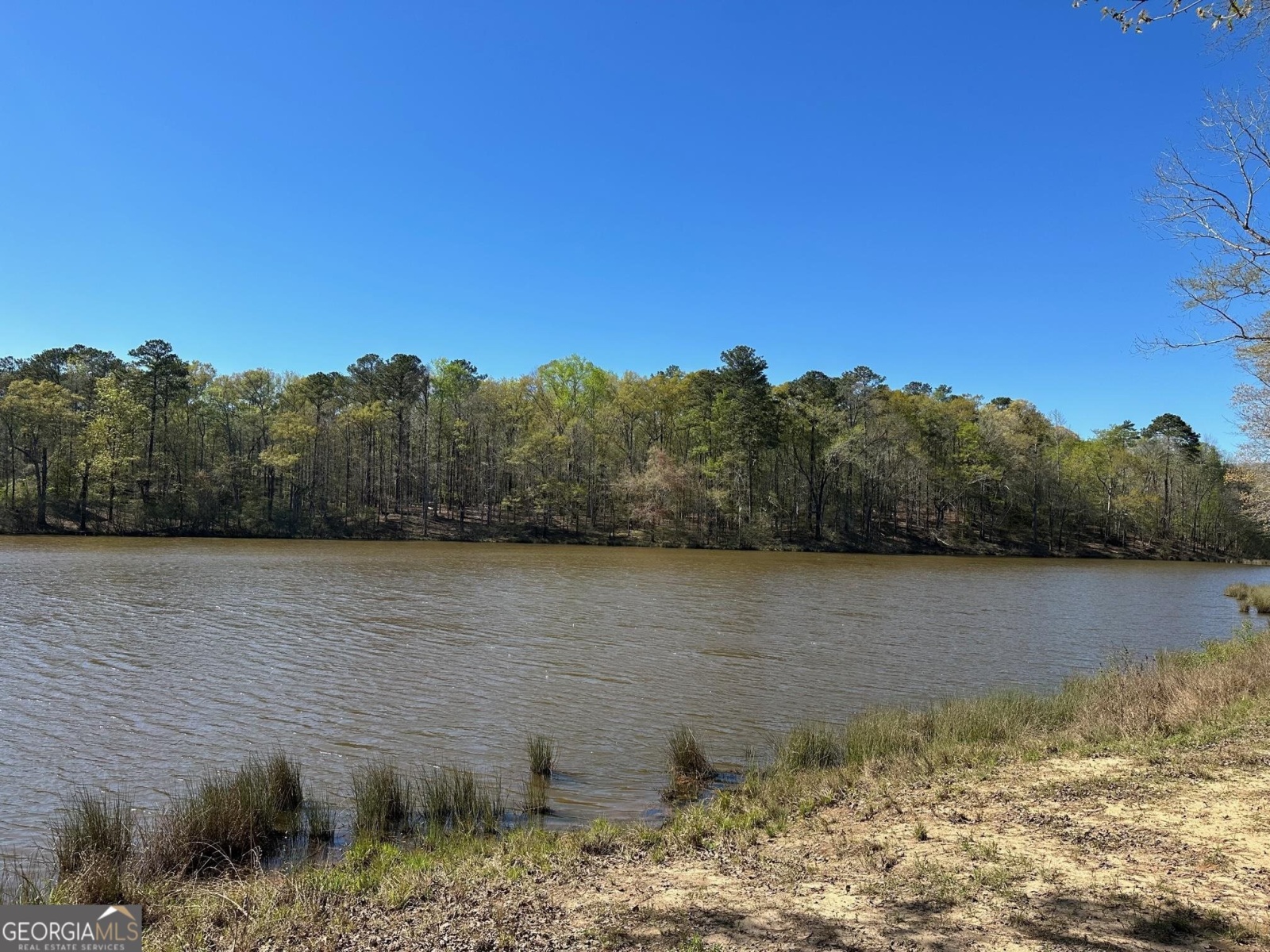 0 O Street, Hamilton, Georgia 31811, ,Land,For Sale,O,9139398