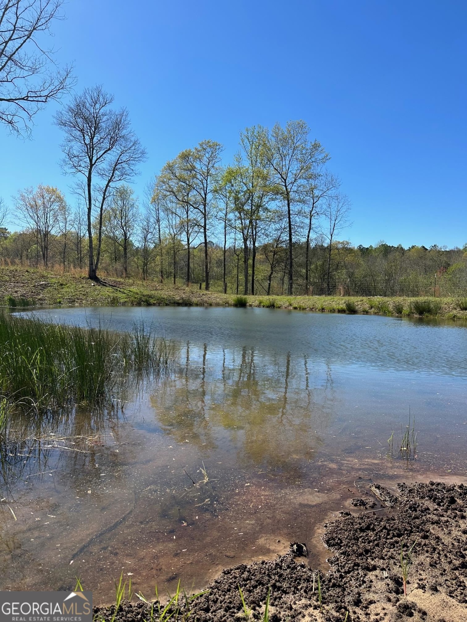 0 O Street, Hamilton, Georgia 31811, ,Land,For Sale,O,9139398