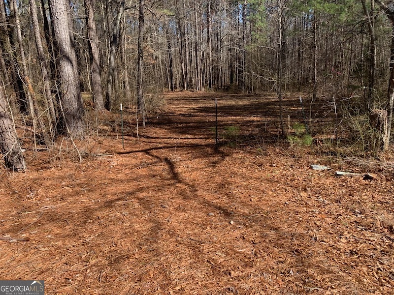 0 Rowe Road, Senoia, Georgia 30276, ,Land,For Sale,Rowe,9139448