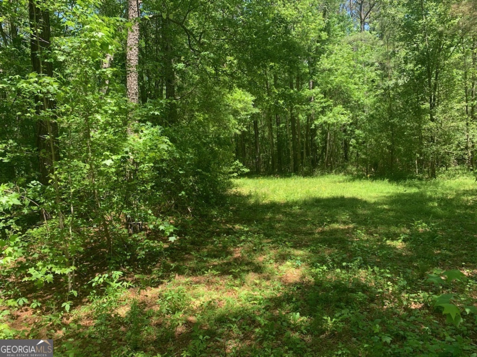 0 Rowe Road, Senoia, Georgia 30276, ,Land,For Sale,Rowe,9139448