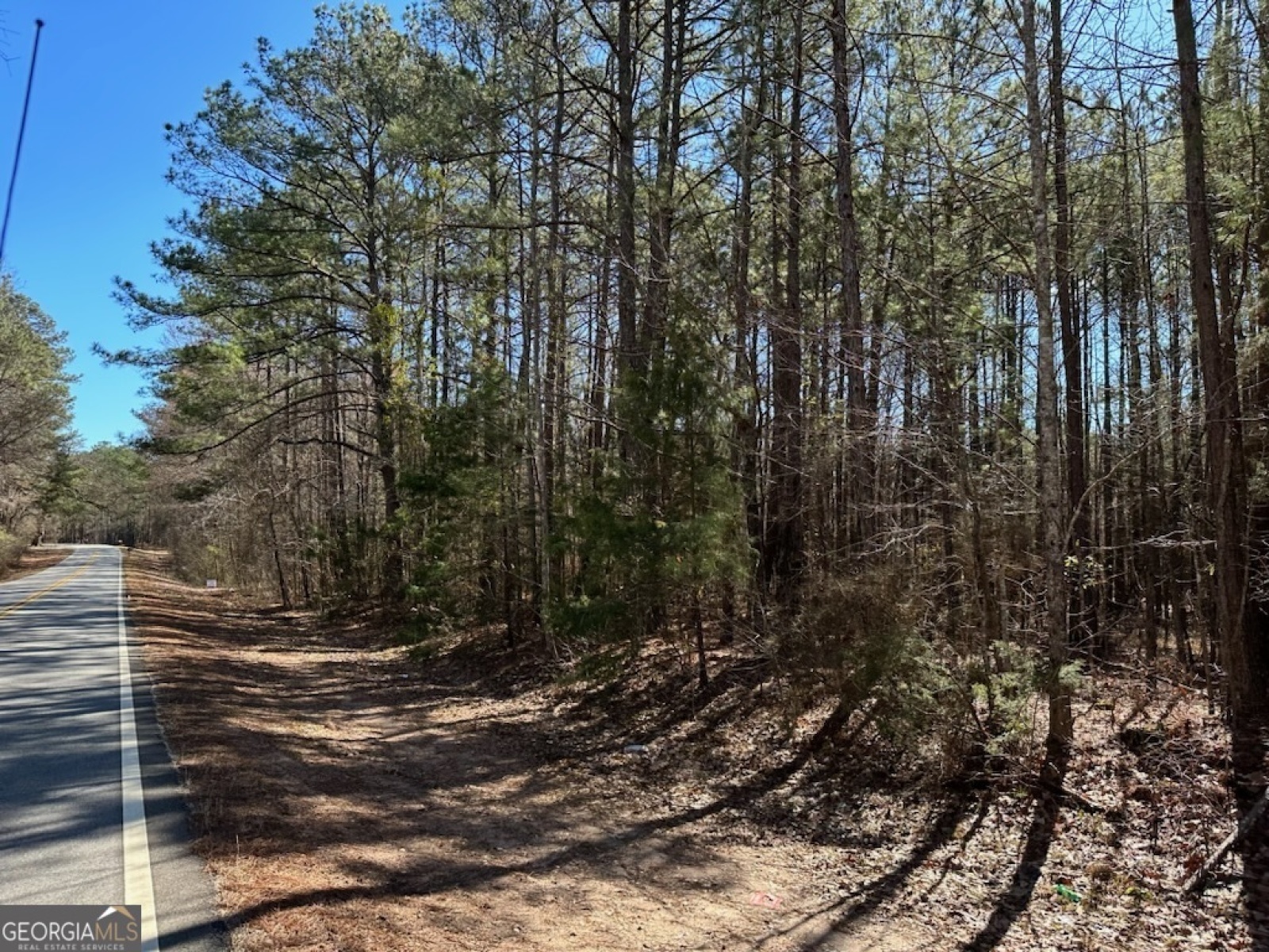 0 Rowe Road, Senoia, Georgia 30276, ,Land,For Sale,Rowe,9139448