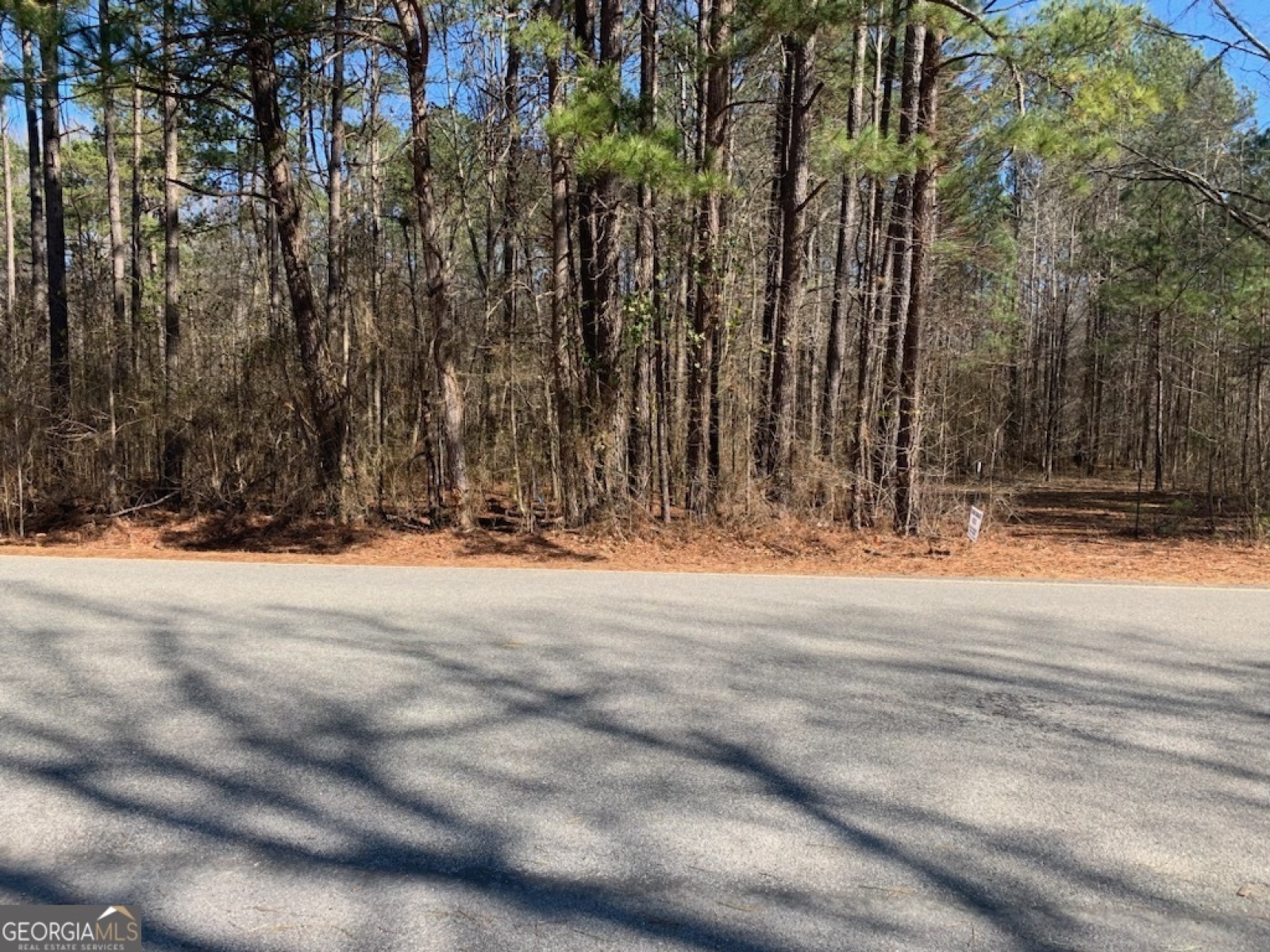 0 Rowe Road, Senoia, Georgia 30276, ,Land,For Sale,Rowe,9139448