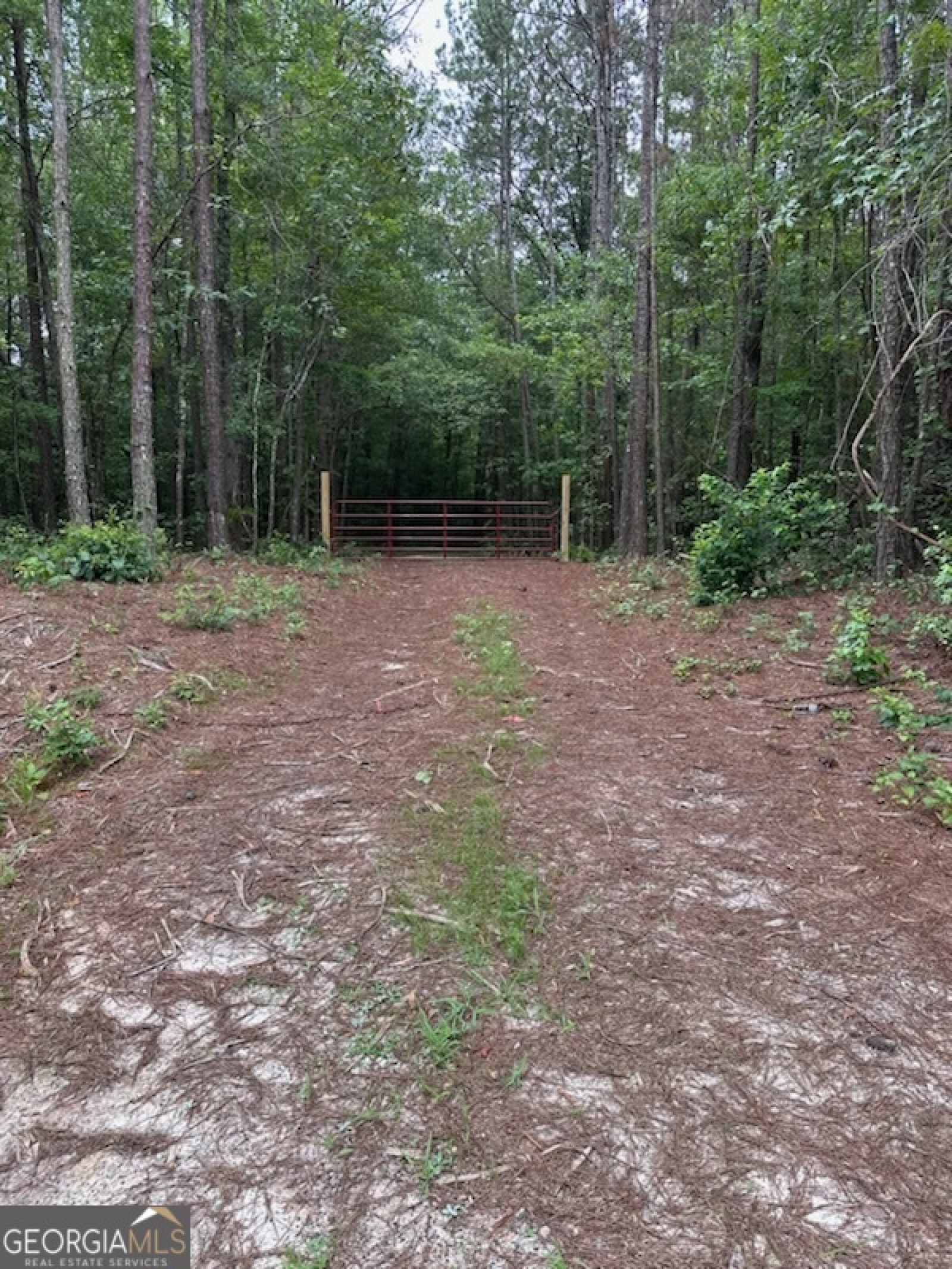 0 Rowe Road, Senoia, Georgia 30276, ,Land,For Sale,Rowe,9139448