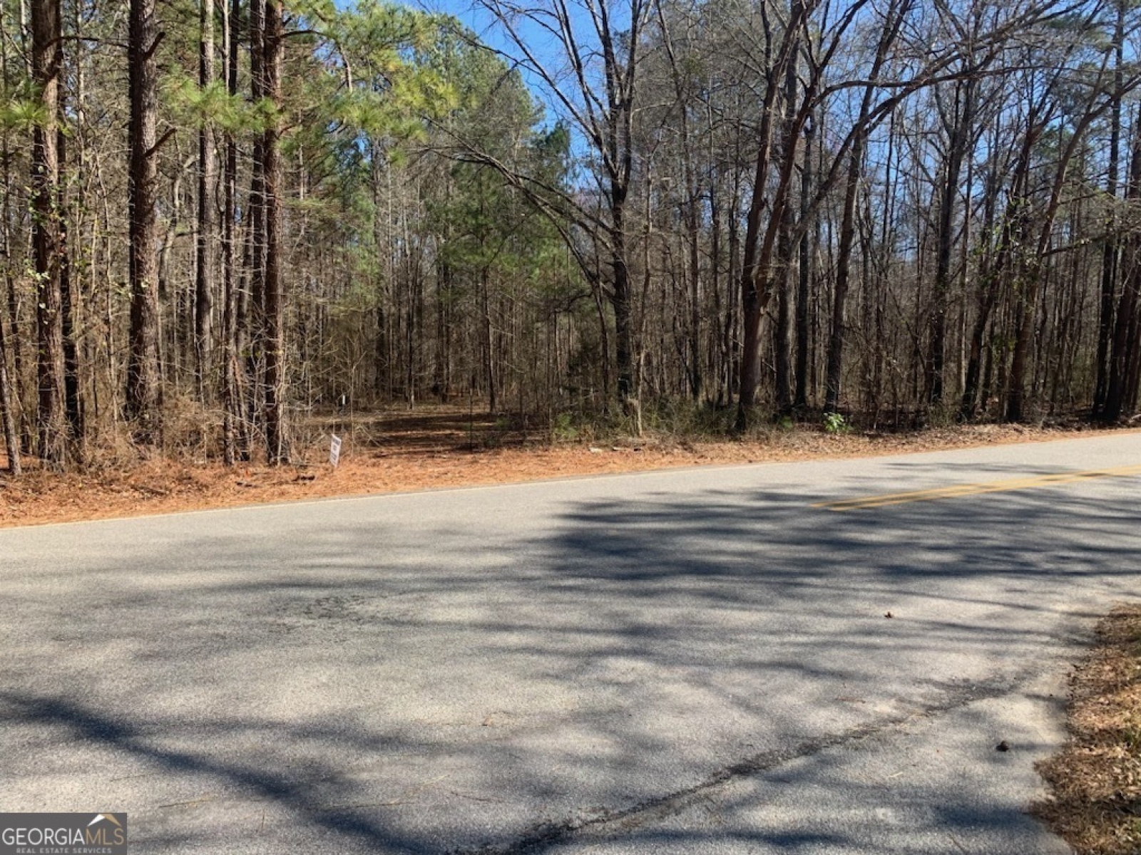 0 Rowe Road, Senoia, Georgia 30276, ,Land,For Sale,Rowe,9139448