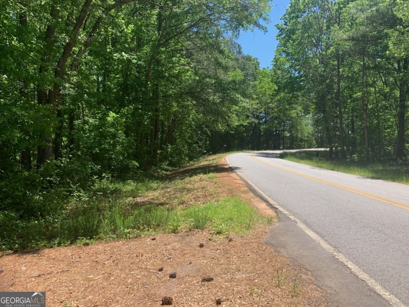 0 Rowe Road, Senoia, Georgia 30276, ,Land,For Sale,Rowe,9139448