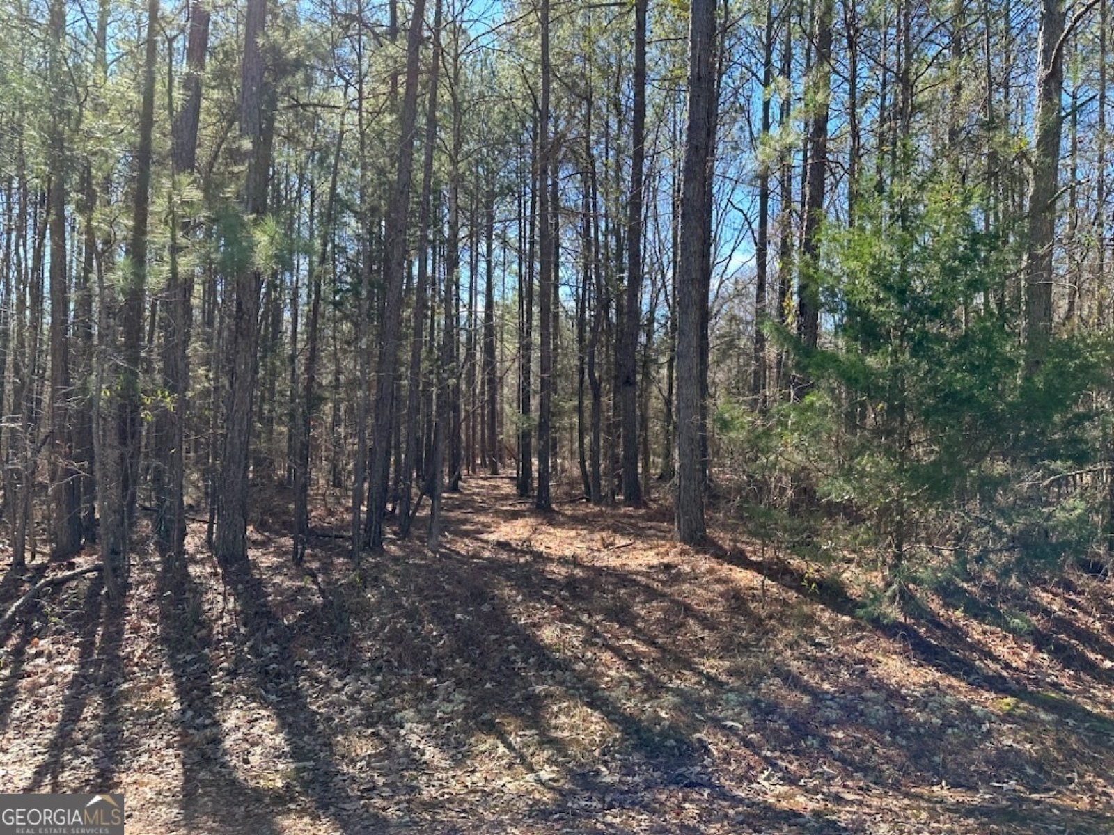 0 Rowe Road, Senoia, Georgia 30276, ,Land,For Sale,Rowe,9139448