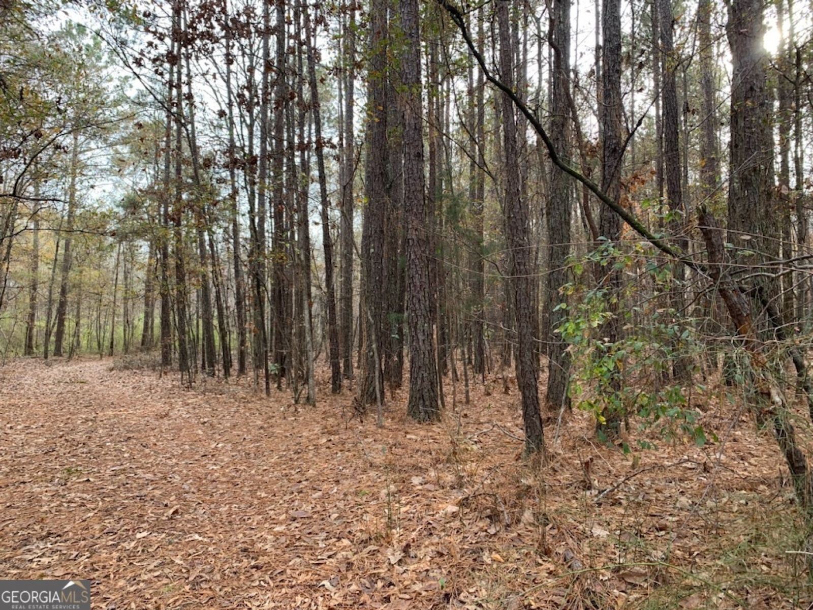 0 Rowe Road, Senoia, Georgia 30276, ,Land,For Sale,Rowe,9139448